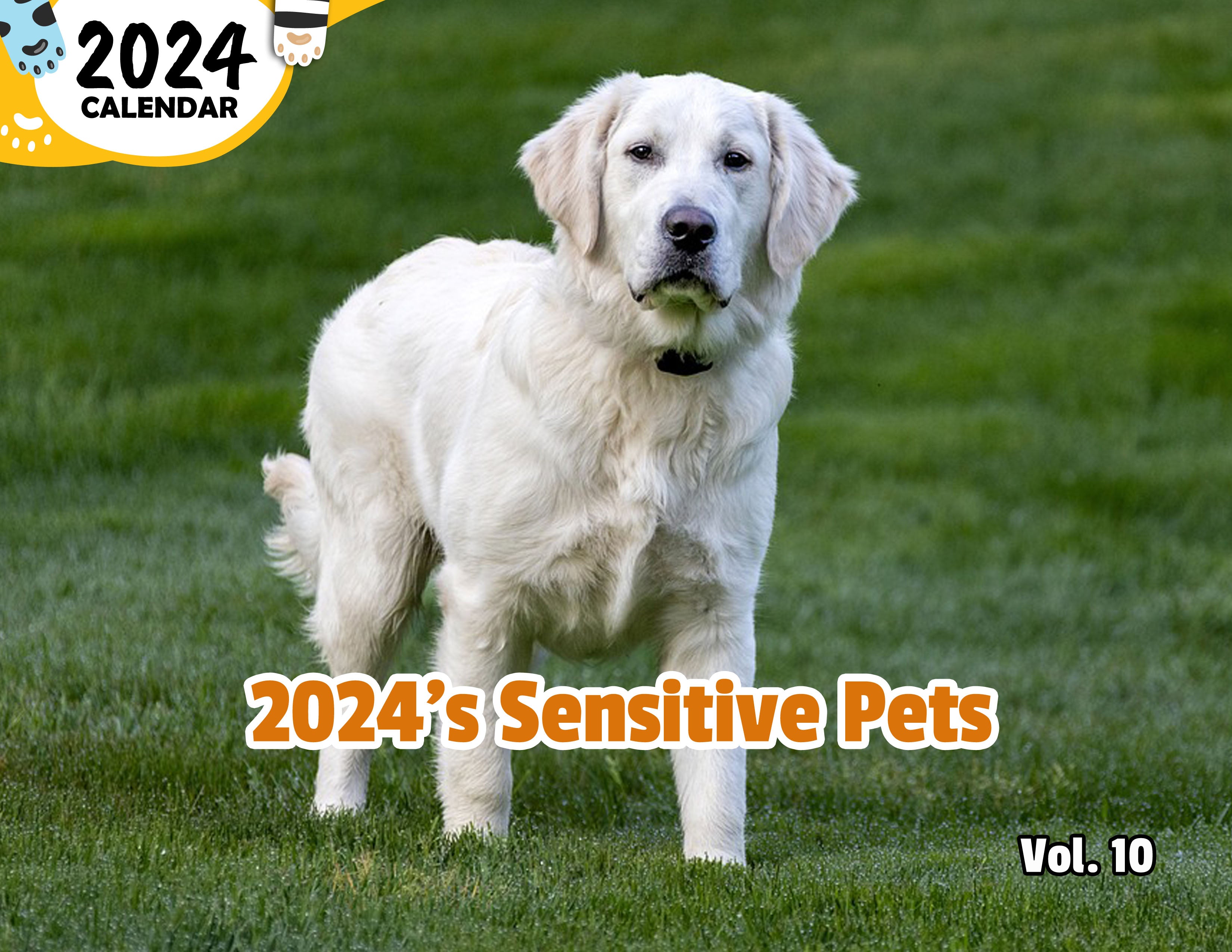 2024's Sensitive Pets Volume Ten: 2024 Wall Calendar (Published)