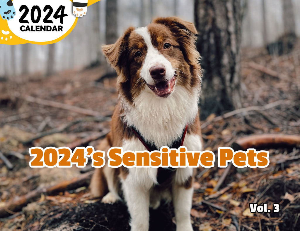 2024's Sensitive Pets Volume Three: 2024 Wall Calendar (Published)