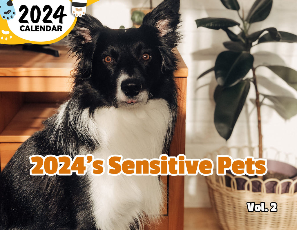 2024's Sensitive Pets Volume Two: 2024 Wall Calendar (Published)