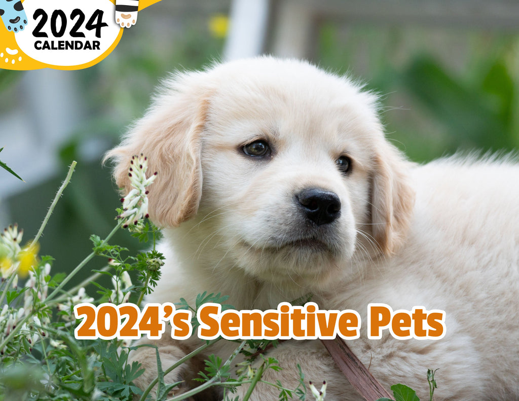 2024's Sensitive Pets: 2024 Wall Calendar (Published)