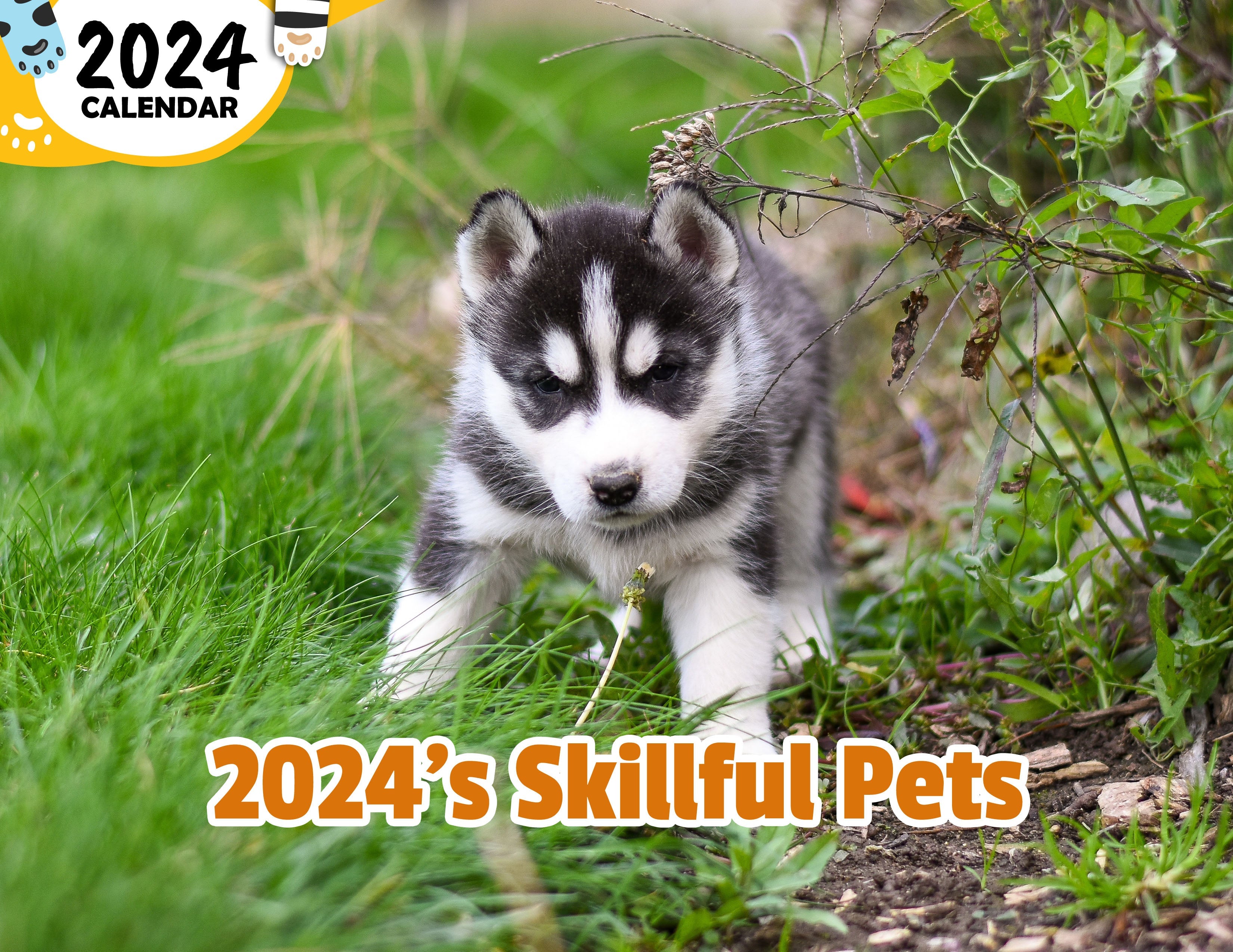 2024's Skillful Pets: 2024 Wall Calendar (Published)