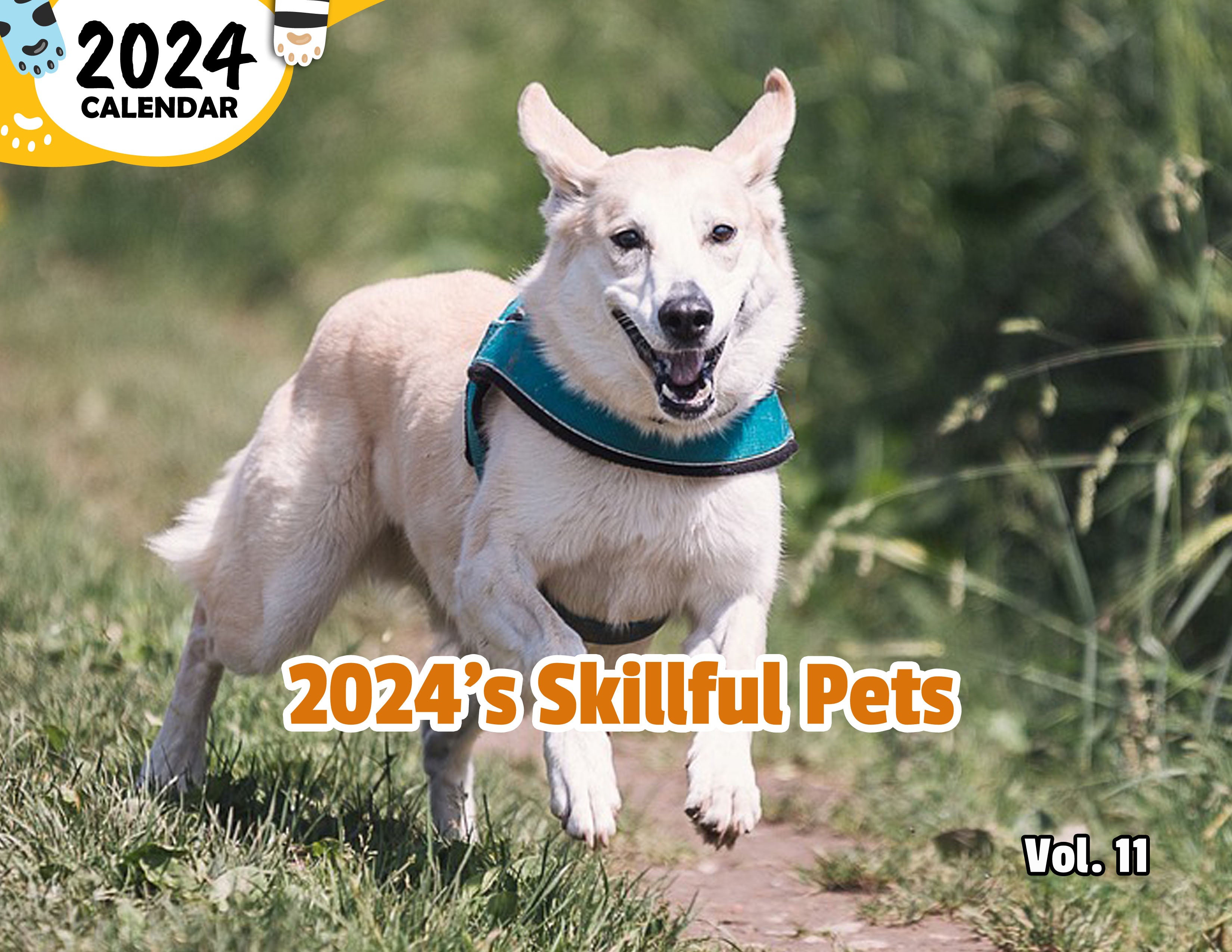 2024's Skillful Pets Volume Eleven: 2024 Wall Calendar (Published)