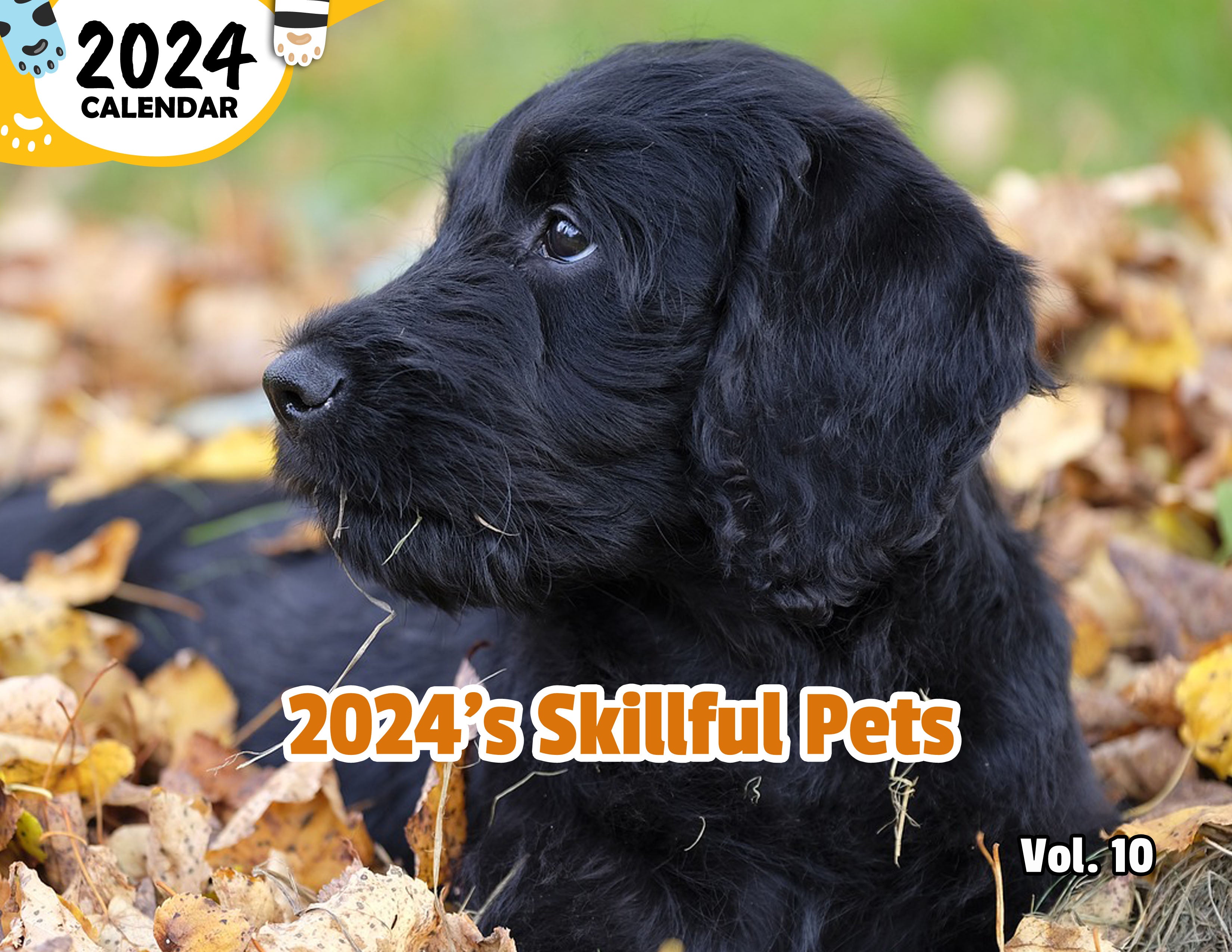 2024's Skillful Pets Volume Ten: 2024 Wall Calendar (Published)