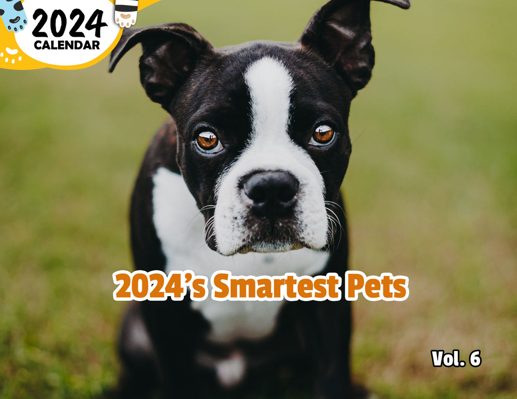 2024's Smartest Pets Volume Six: 2024 Wall Calendar (Published)