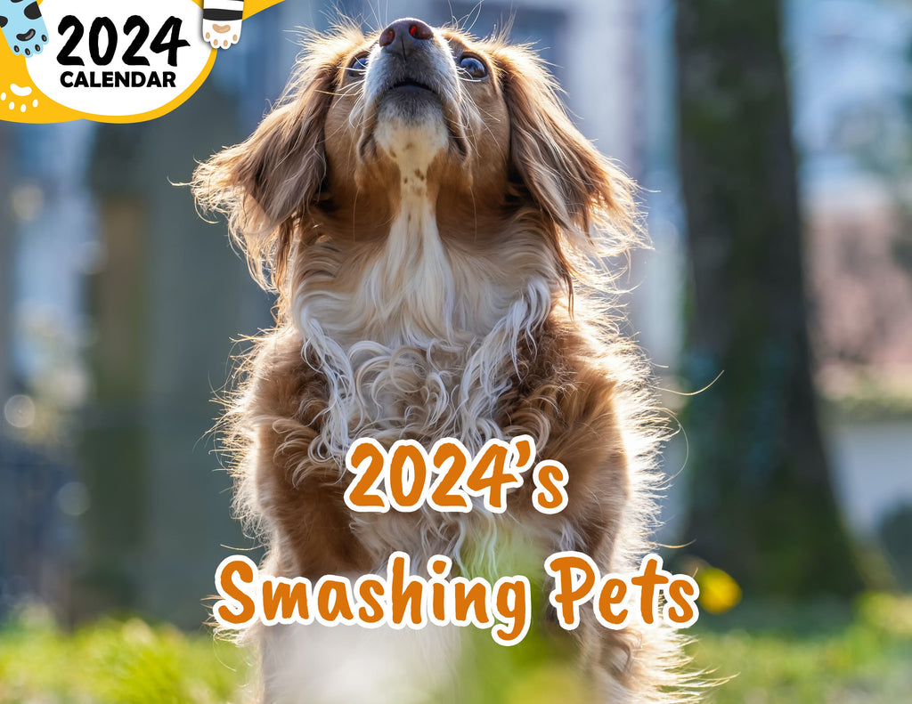 2024's Smashing Pets: 2024 Wall Calendar (Published)