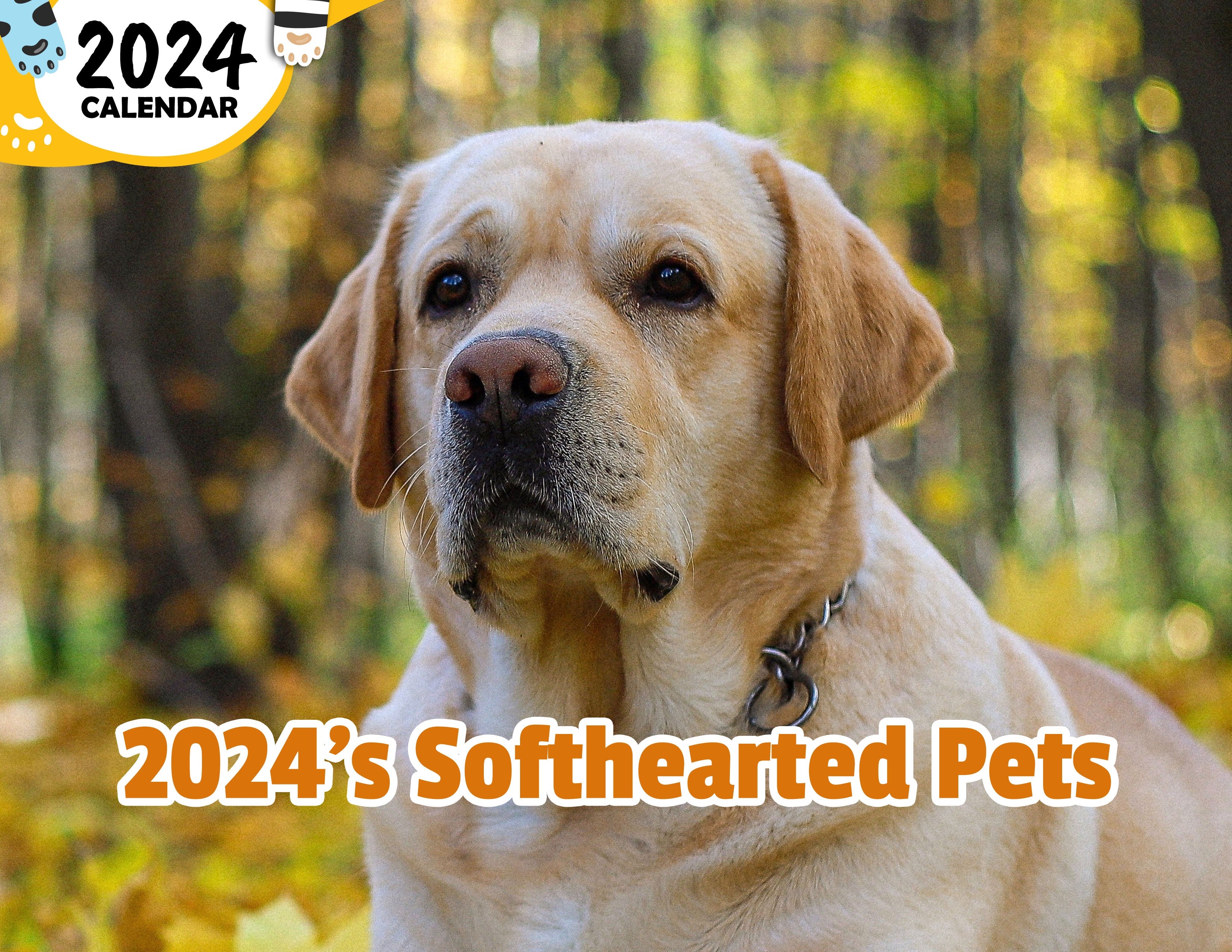 2024's Softhearted Pets: 2024 Wall Calendar (Published)