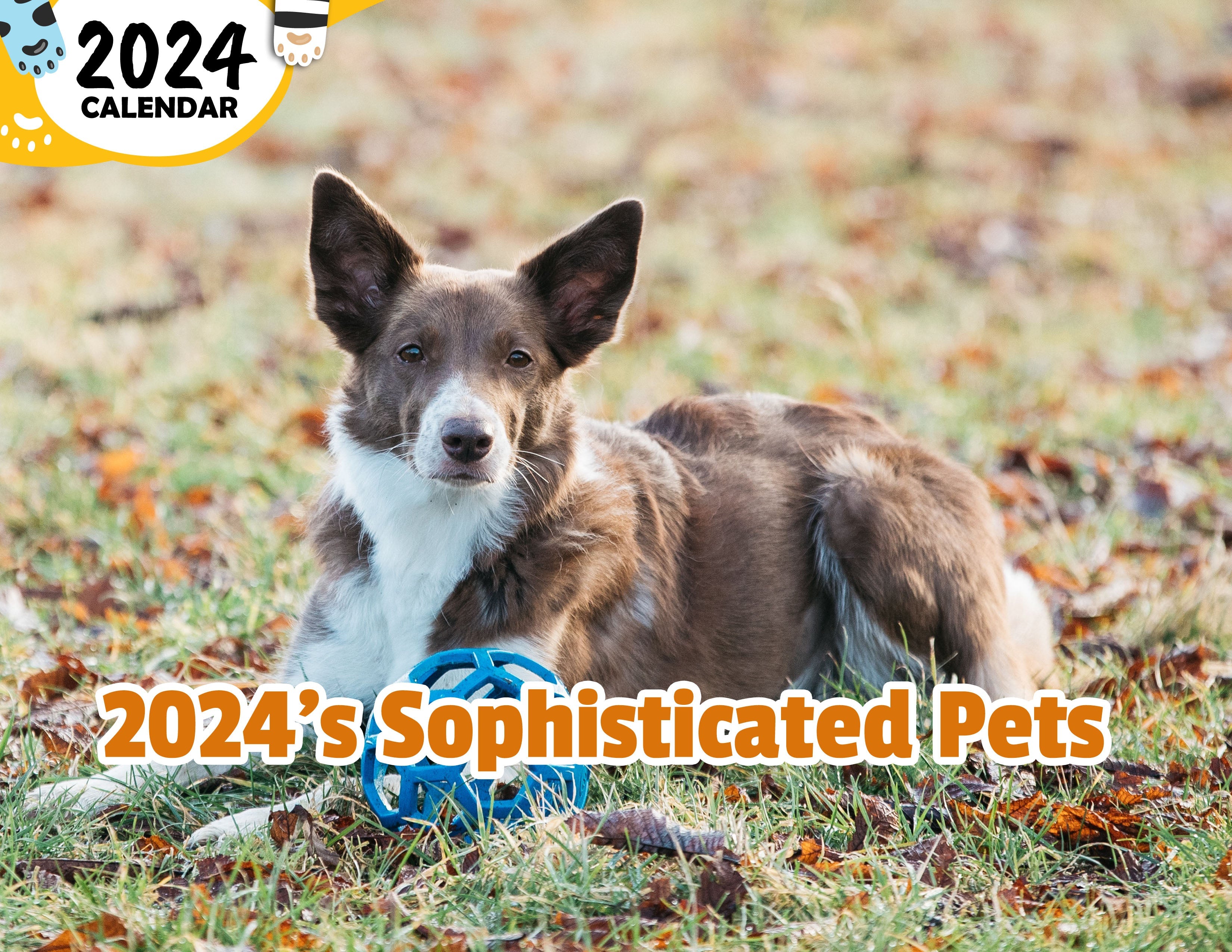 2024's Sophisticated Pets: 2024 Wall Calendar (Published)