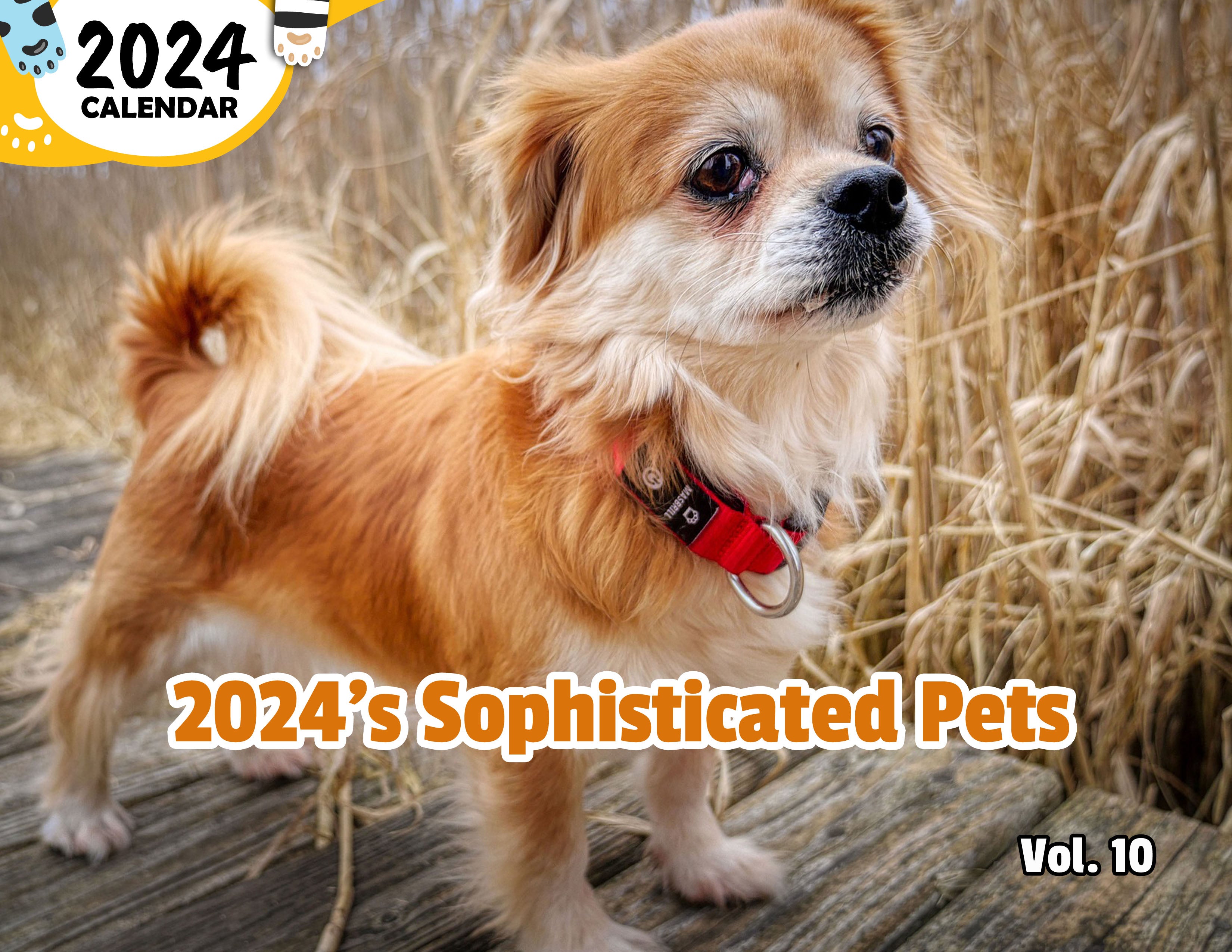 2024's Sophisticated Pets Volume Ten: 2024 Wall Calendar (Published)