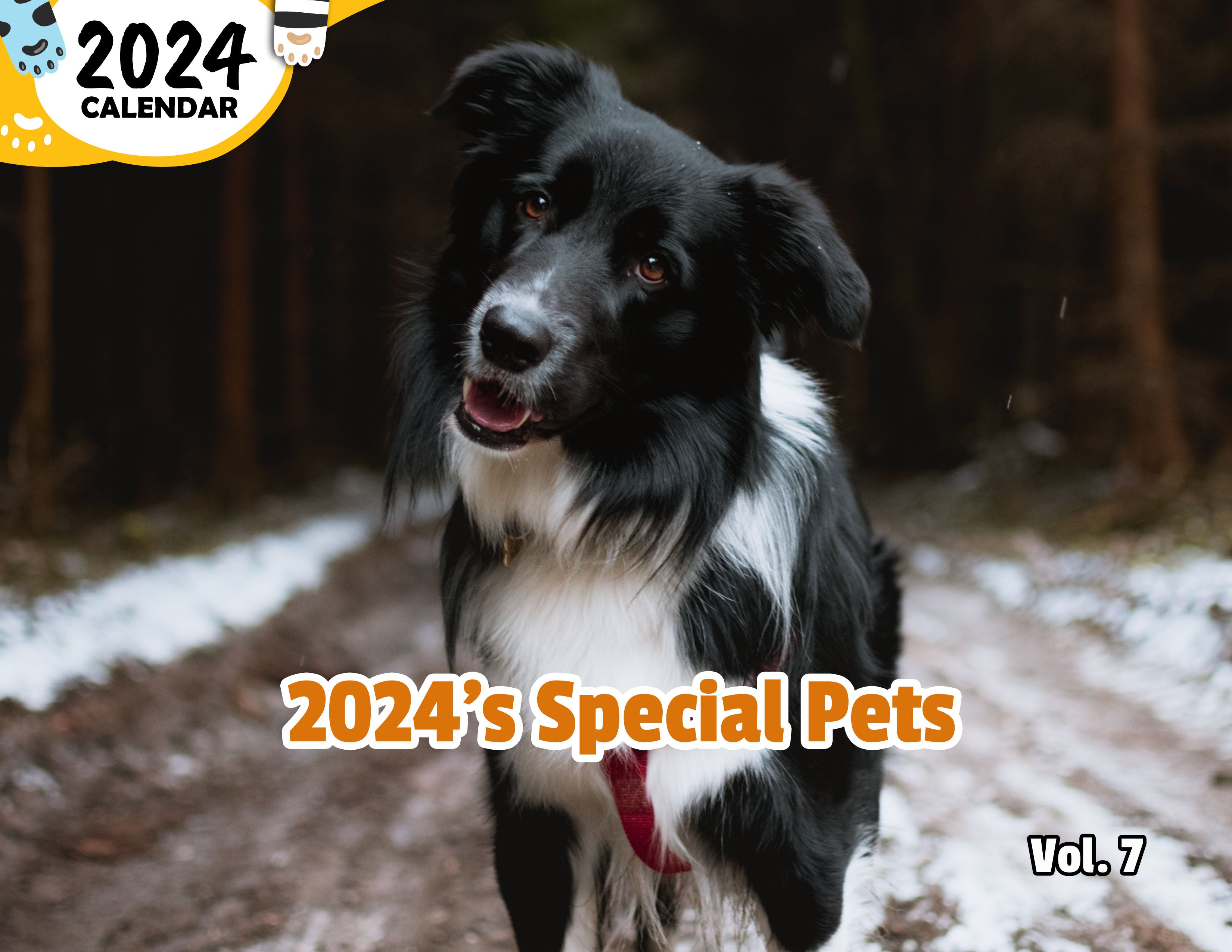 2024's Special Pets Volume Seven: 2024 Wall Calendar (Published)