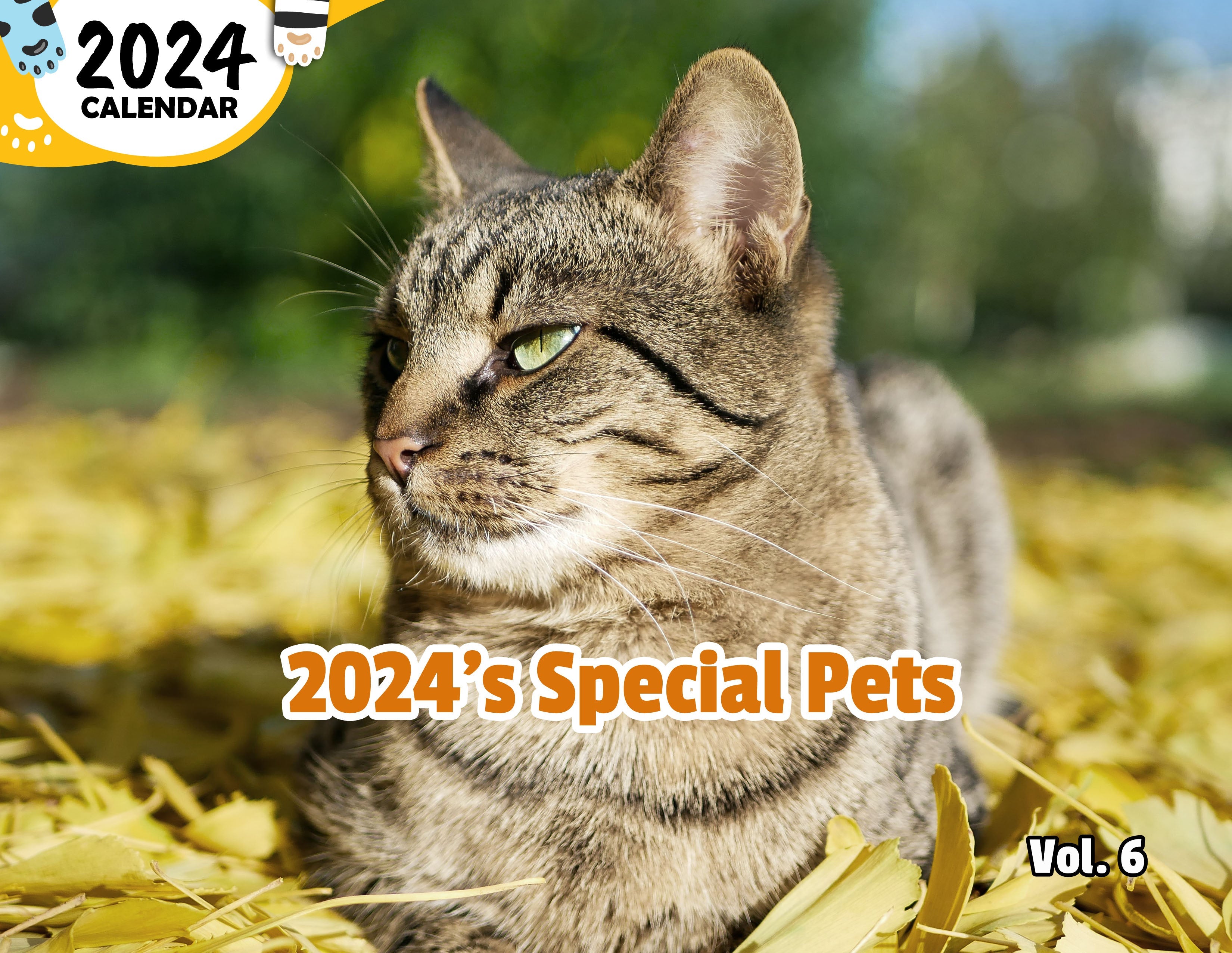 2024's Special Pets Volume Six: 2024 Wall Calendar (Published)