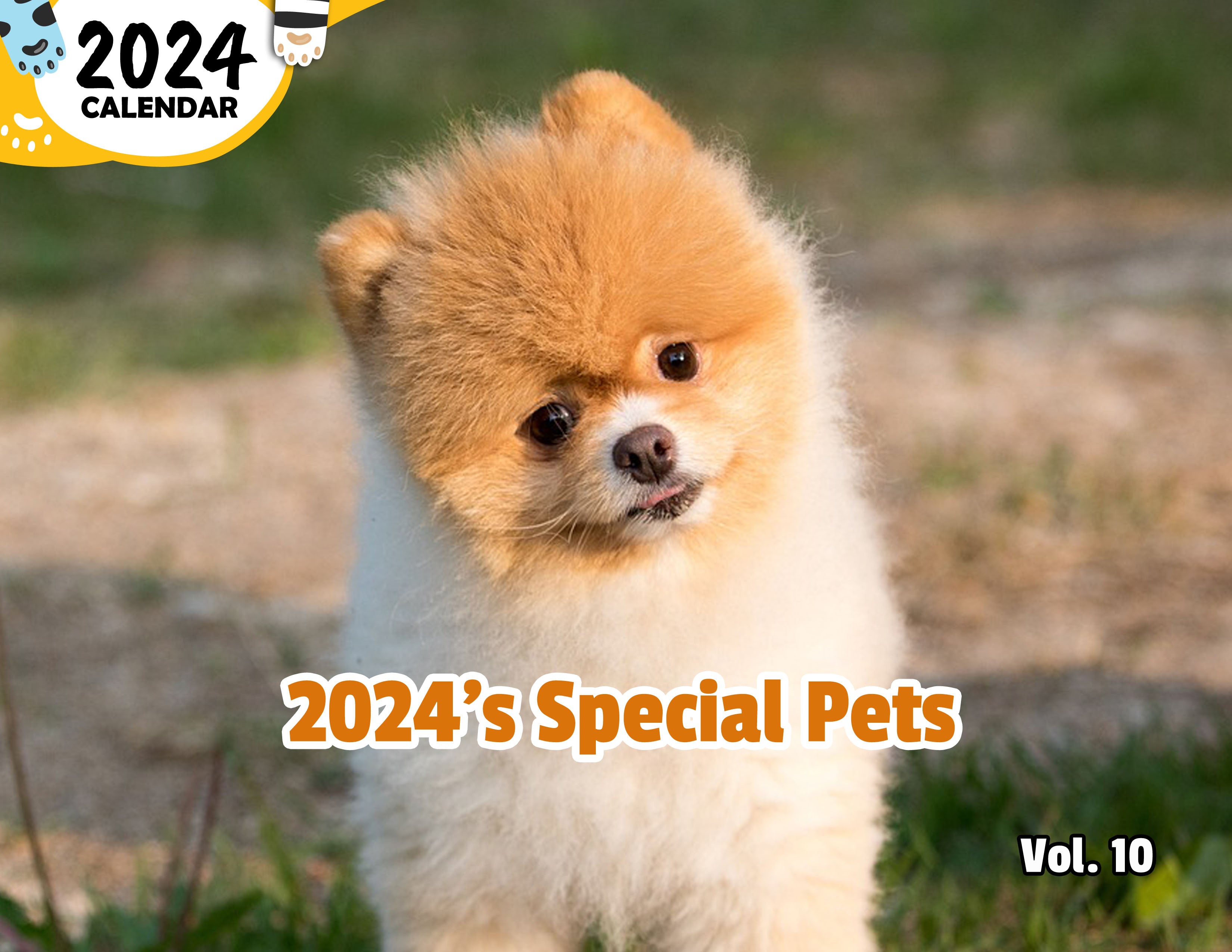 2024's Special Pets Volume Ten: 2024 Wall Calendar (Published)