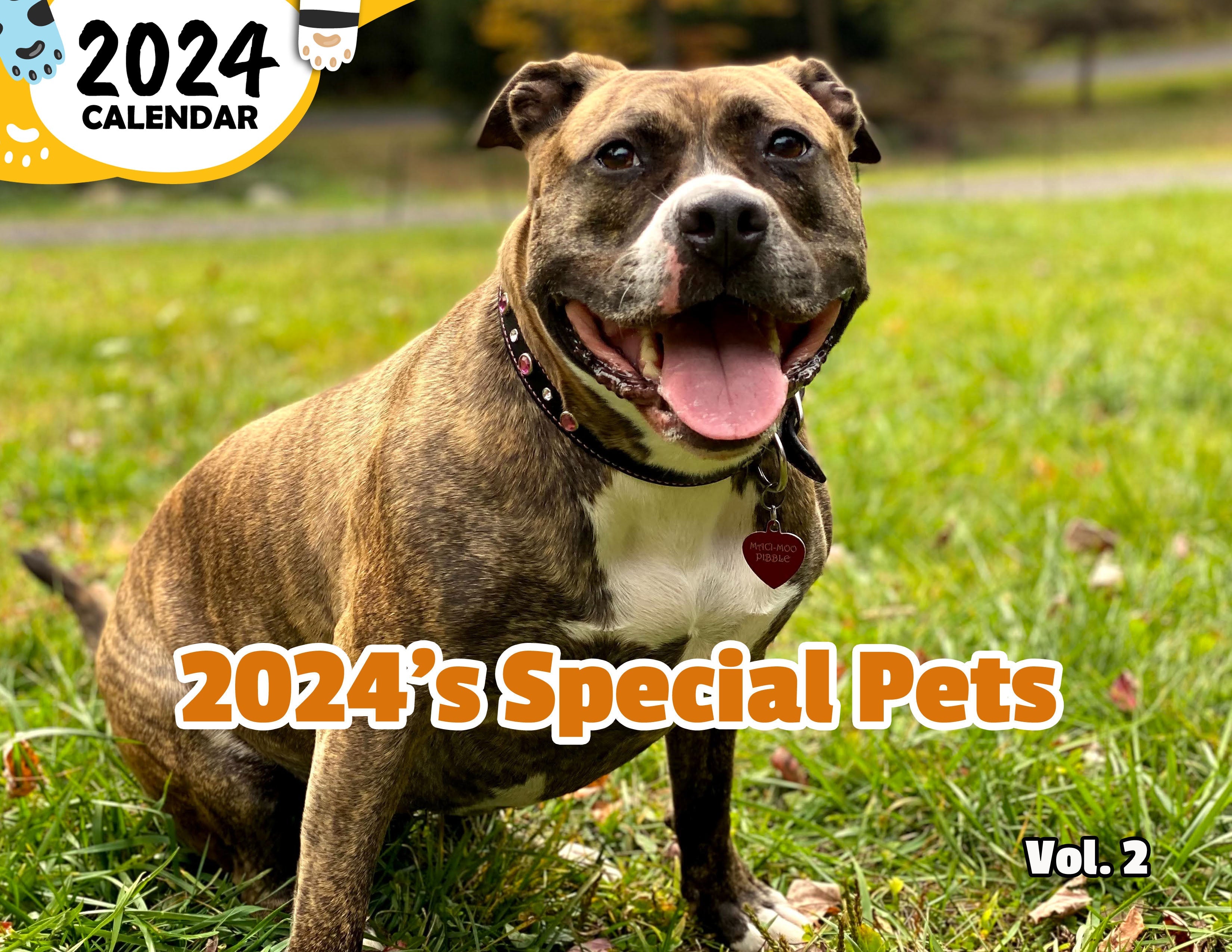 2024's Special Pets Volume Two: 2024 Wall Calendar (Published)
