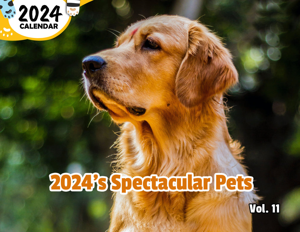 2024's Spectacular Pets Volume Eleven: 2024 Wall Calendar (Published)