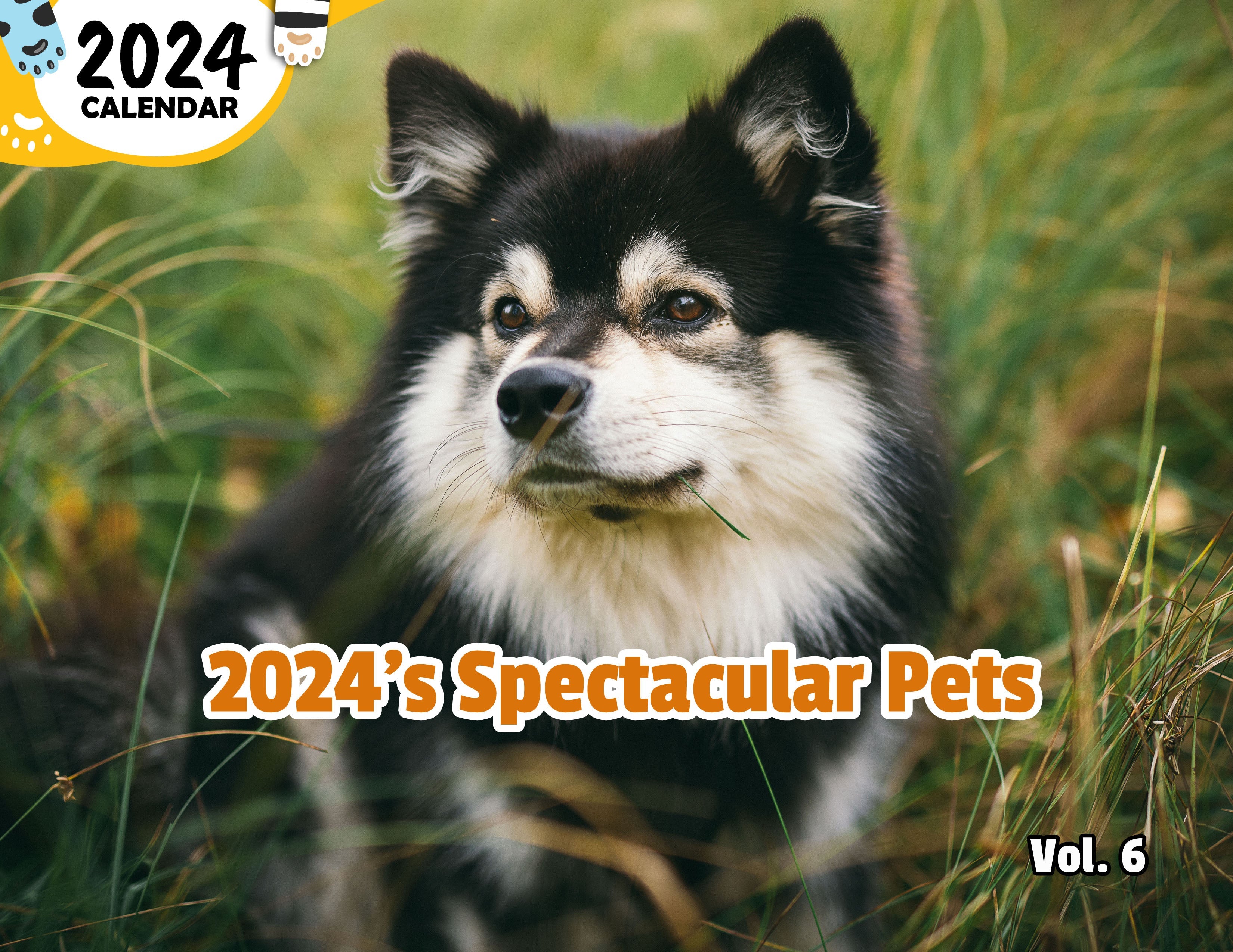 2024's Spectacular Pets Volume Six: 2024 Wall Calendar (Published)