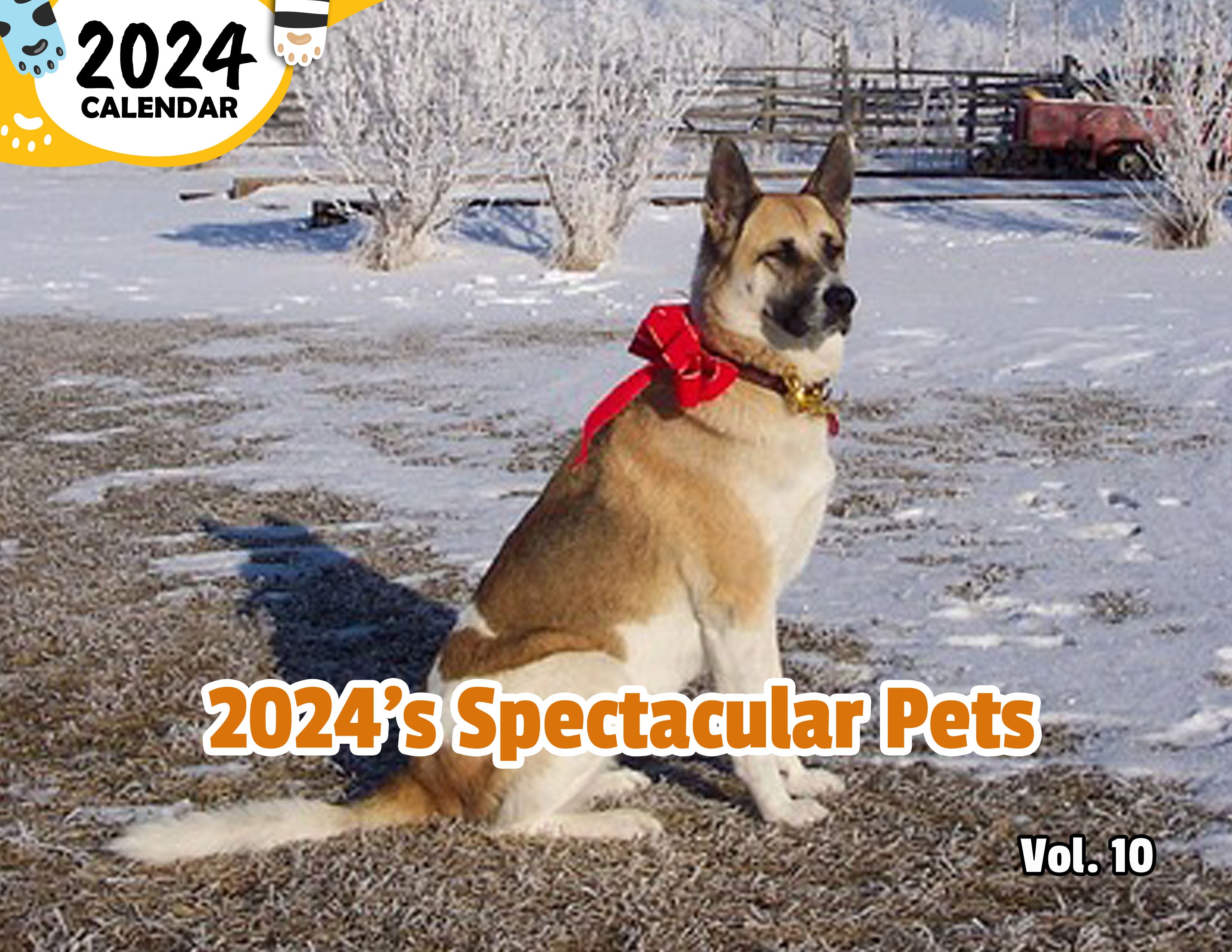 2024's Spectacular Pets Volume Ten: 2024 Wall Calendar (Published)