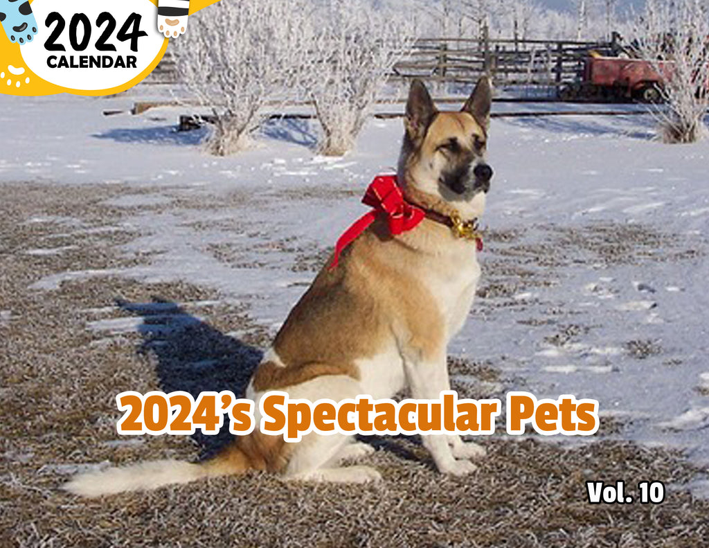 2024's Spectacular Pets Volume Ten: 2024 Wall Calendar (Published)