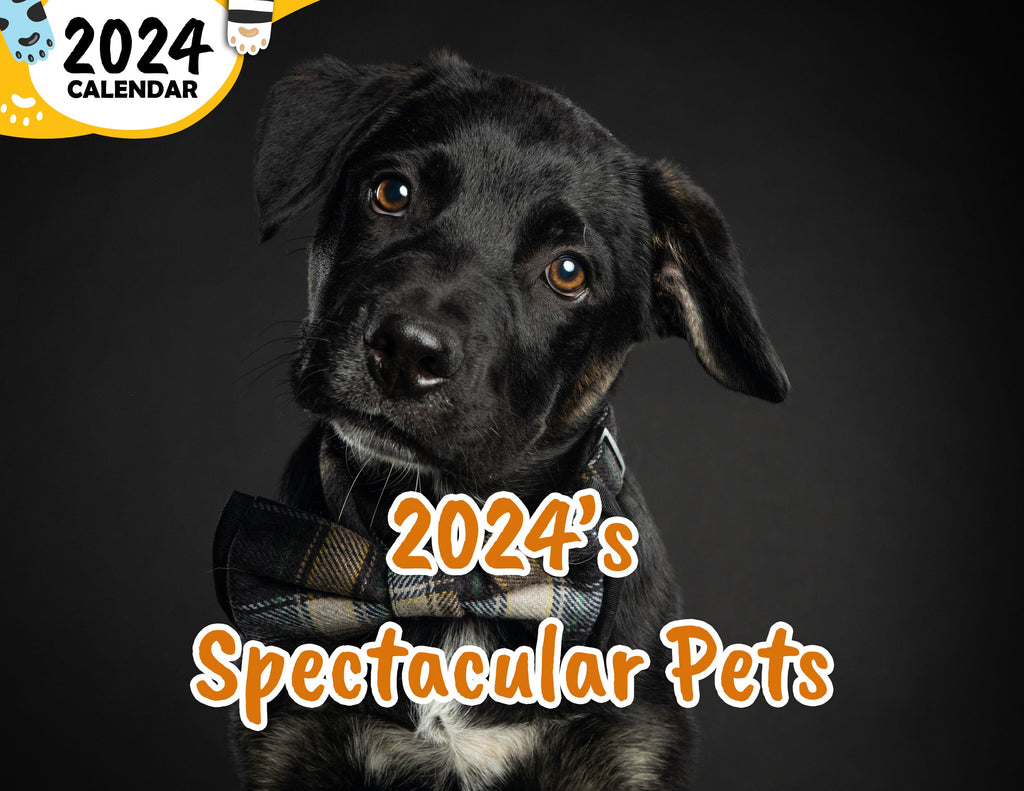 2024's Spectacular Pets: 2024 Wall Calendar (Published)