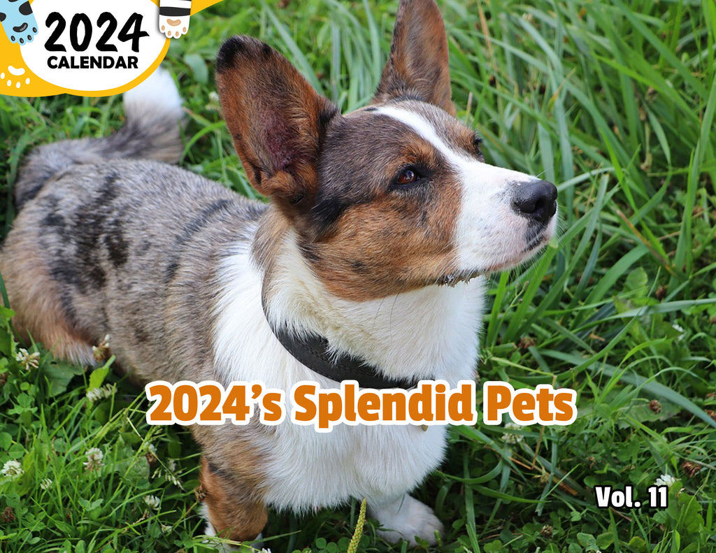 2024's Splendid Pets Volume Eleven: 2024 Wall Calendar (Published)