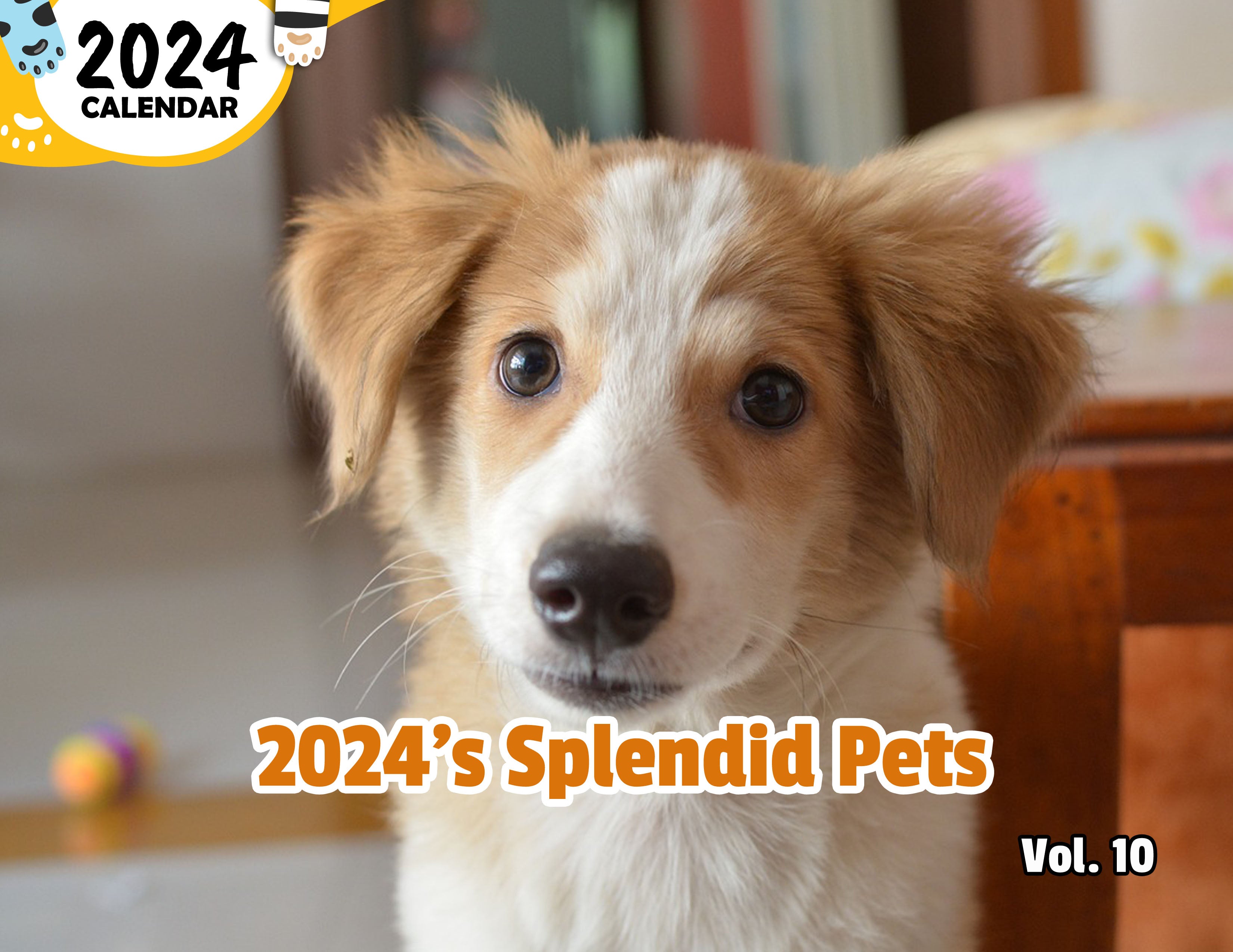 2024's Splendid Pets Volume Ten: 2024 Wall Calendar (Published)