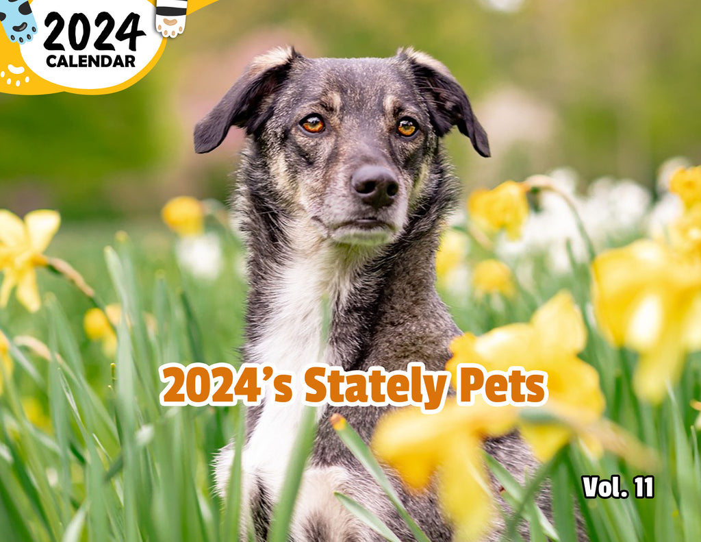 2024's Stately Pets Volume Eleven: 2024 Wall Calendar (Published)