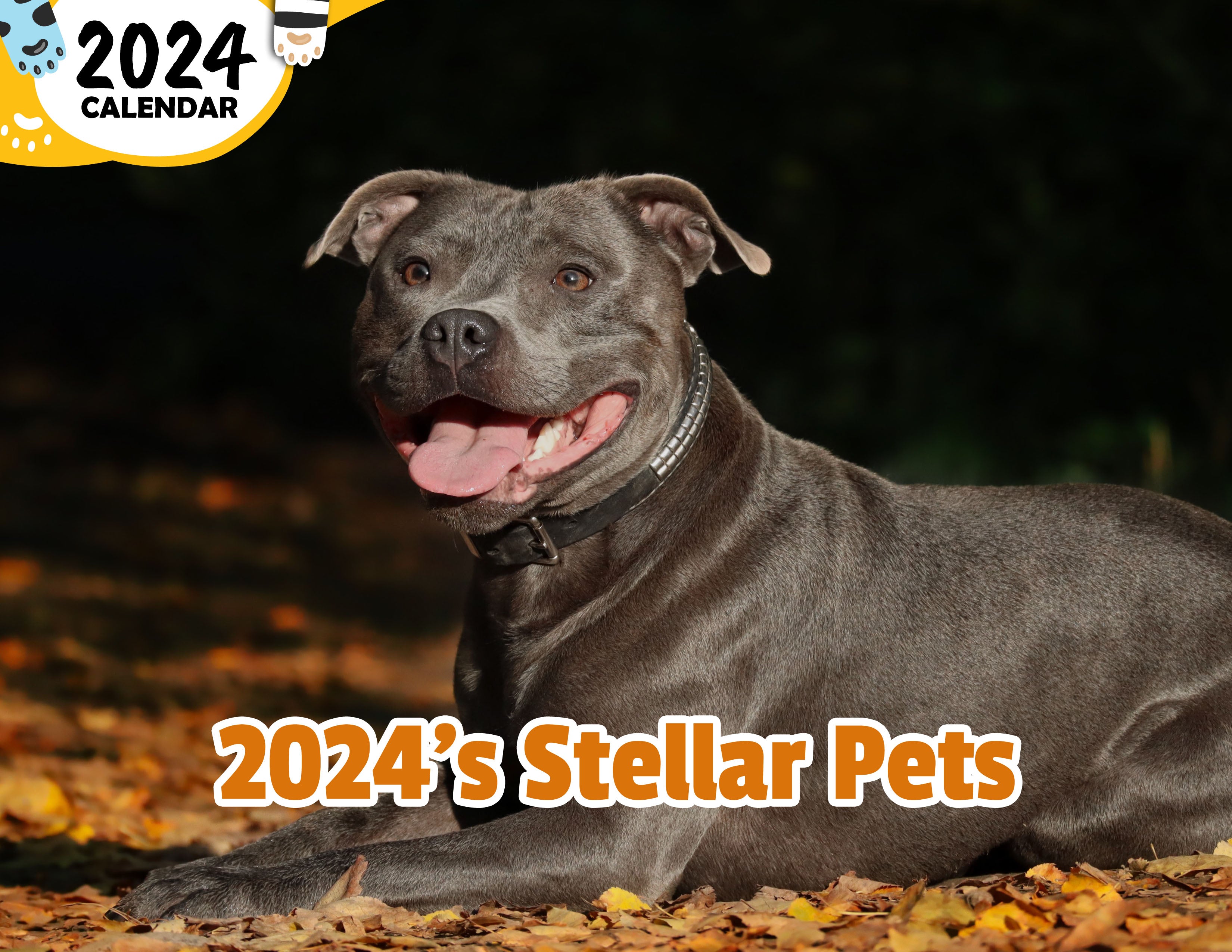 2024's Stellar Pets: 2024 Wall Calendar (Published)