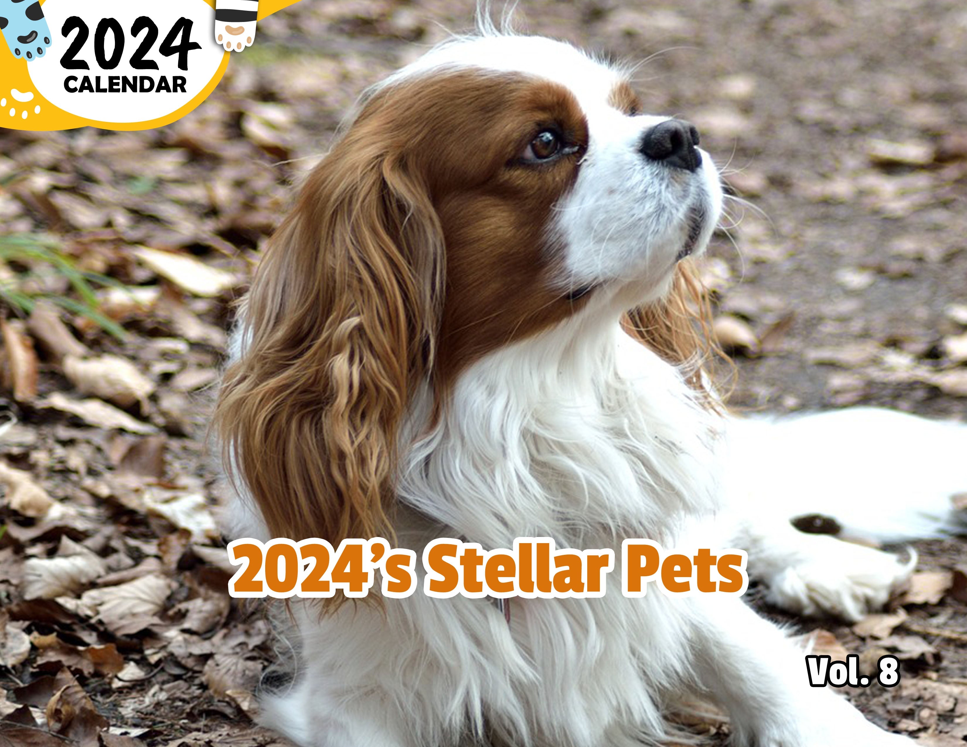 2024's Stellar Pets Volume Eight: 2024 Wall Calendar (Published)