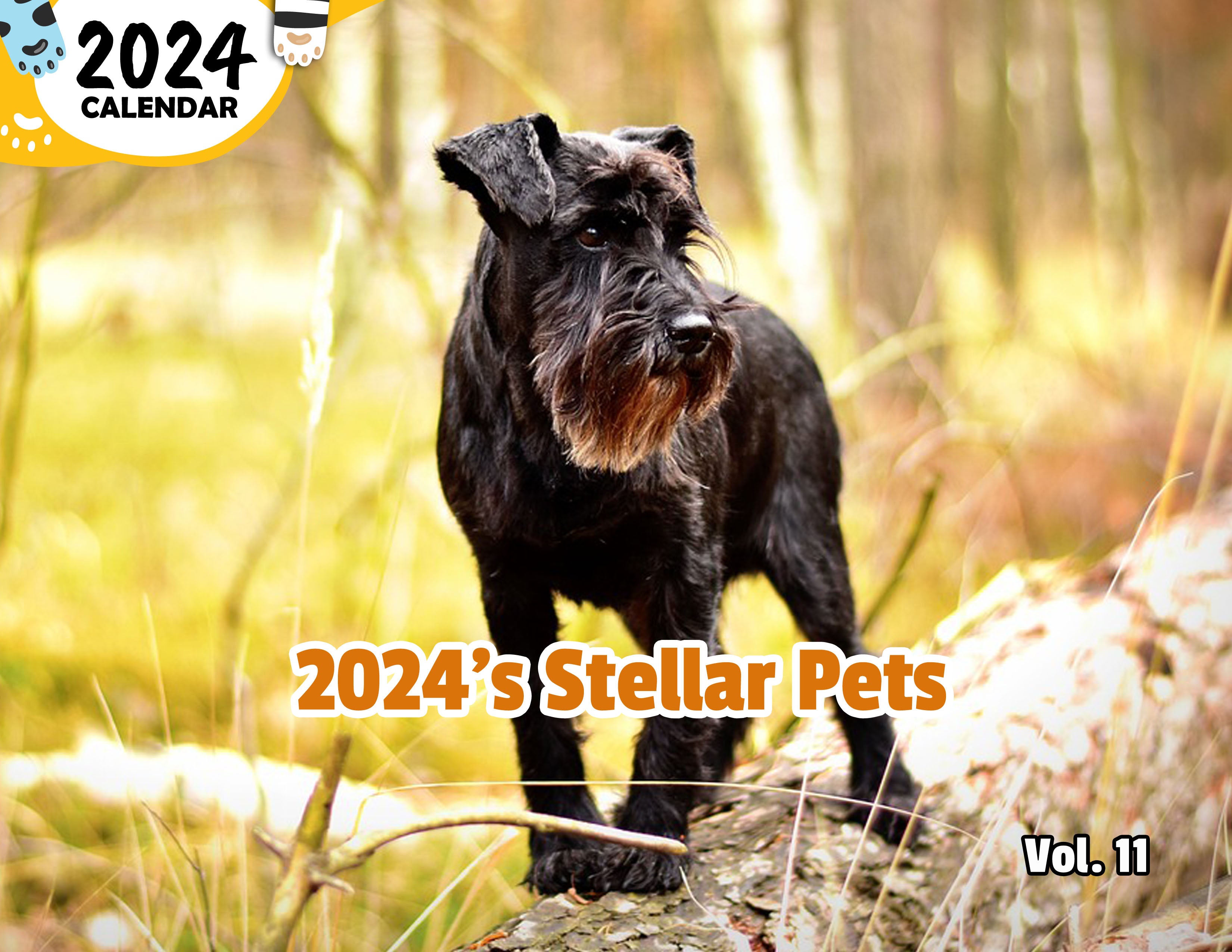 2024's Stellar Pets Volume Eleven: 2024 Wall Calendar (Published)