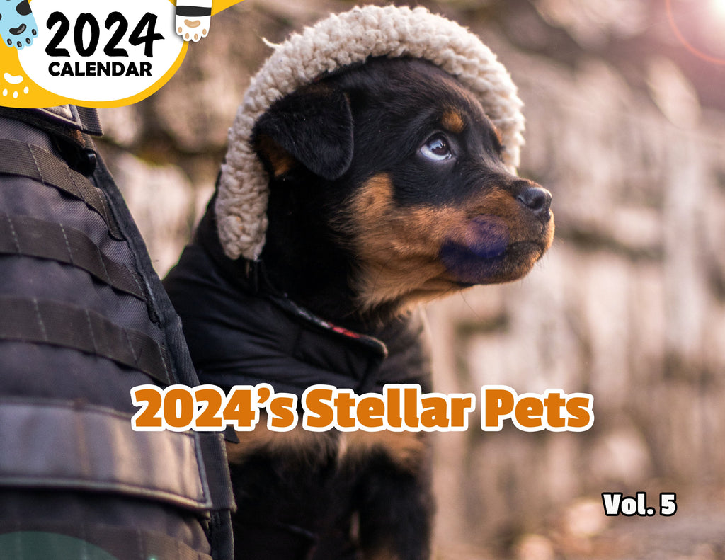 2024's Stellar Pets Volume Five: 2024 Wall Calendar (Published)