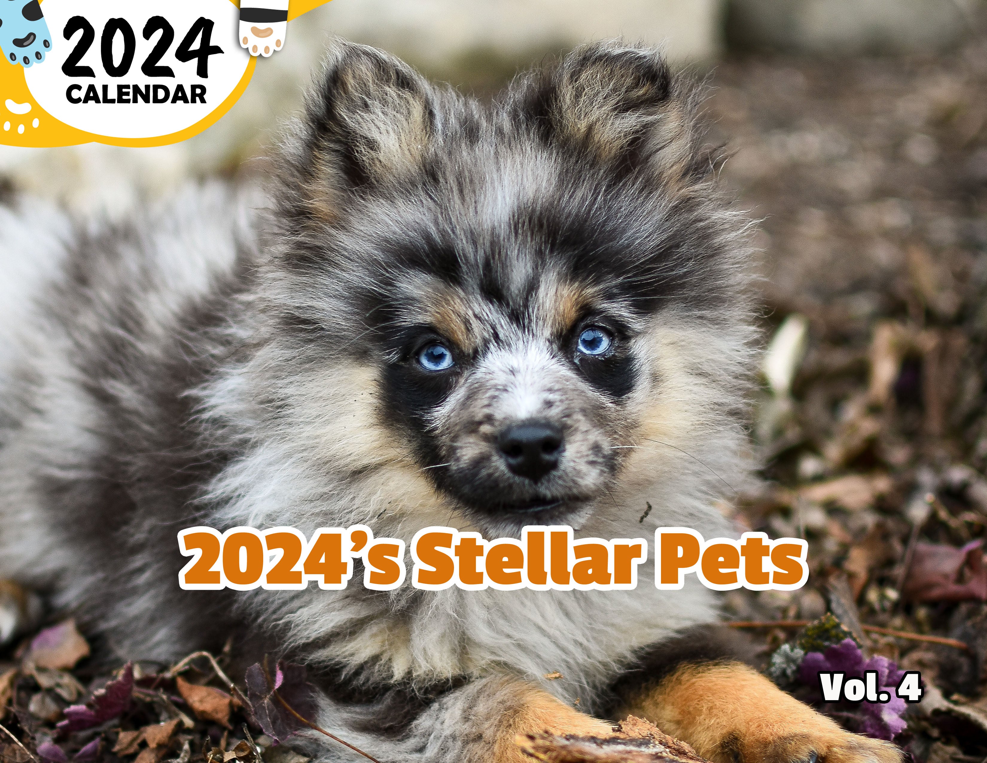 2024's Stellar Pets Volume Four: 2024 Wall Calendar (Published)
