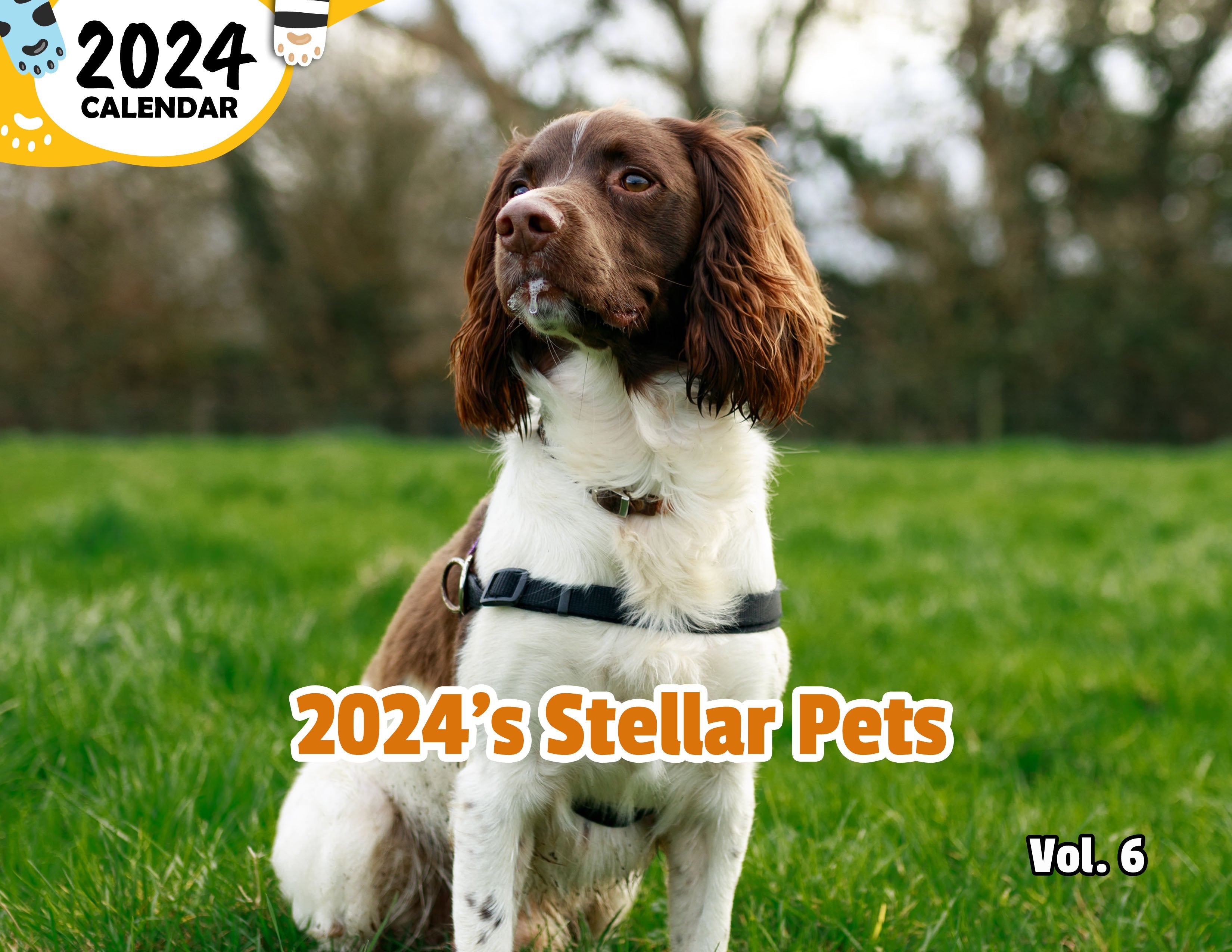 2024's Stellar Pets Volume Six: 2024 Wall Calendar (Published)