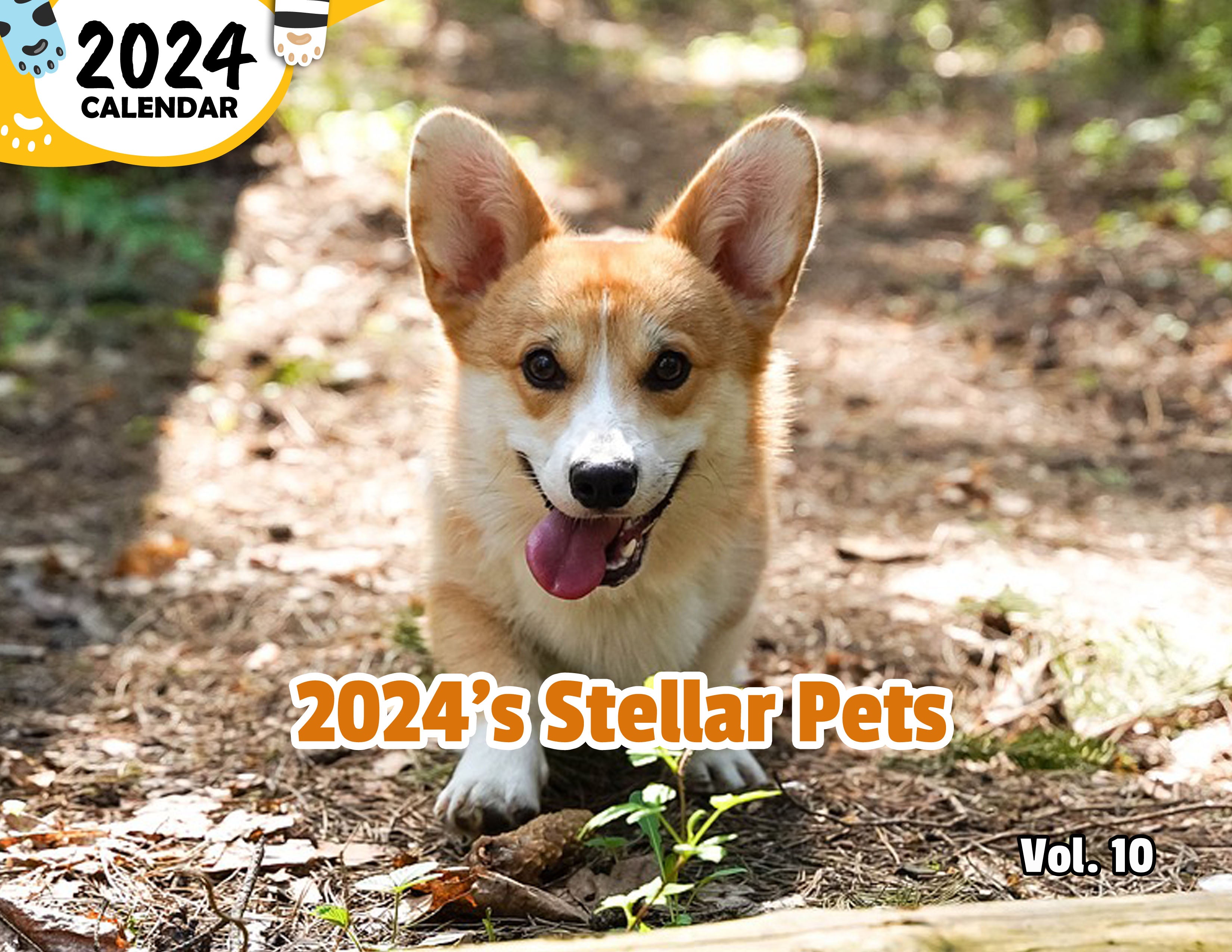 2024's Stellar Pets Volume Ten: 2024 Wall Calendar (Published)