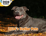2024's Stellar Pets: 2024 Wall Calendar (Published)