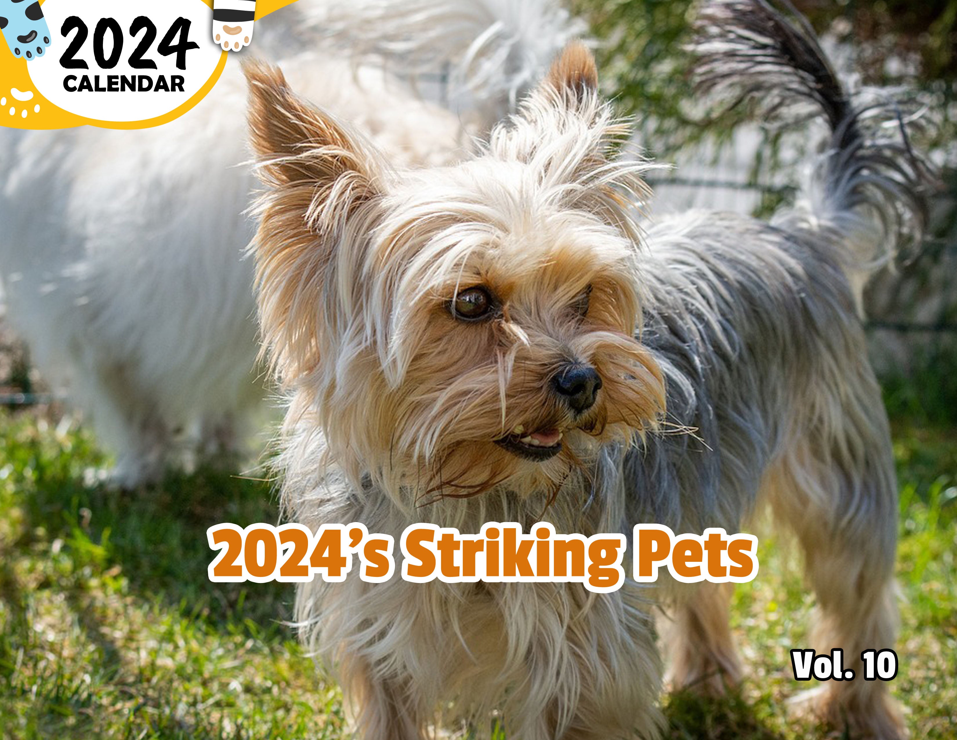 2024's Striking Pets Volume Ten: 2024 Wall Calendar (Published)