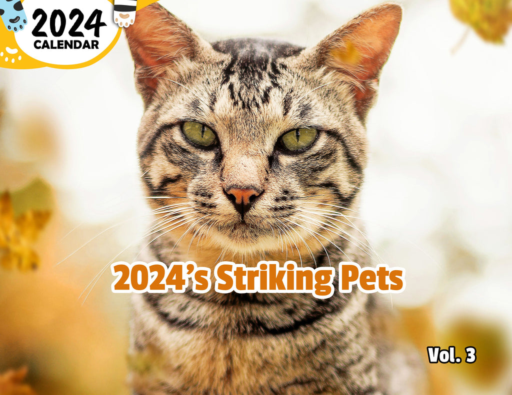 2024's Striking Pets Volume Three: 2024 Wall Calendar (Published)