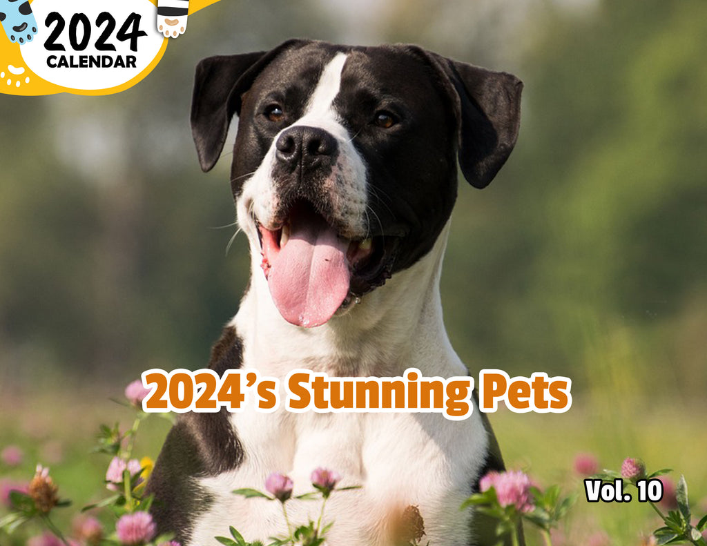 2024's Stunning Pets Volume Ten: 2024 Wall Calendar (Published)