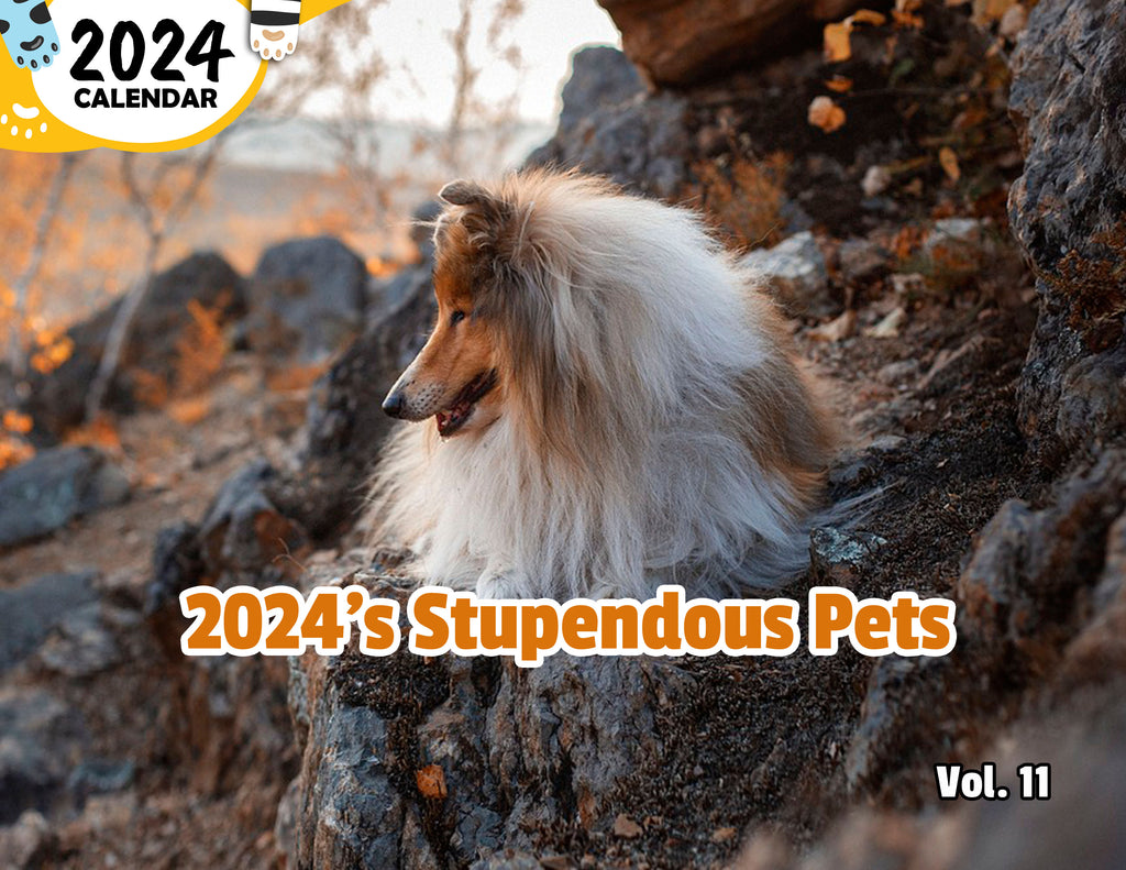 2024's Stupendous Pets Volume Eleven: 2024 Wall Calendar (Published)