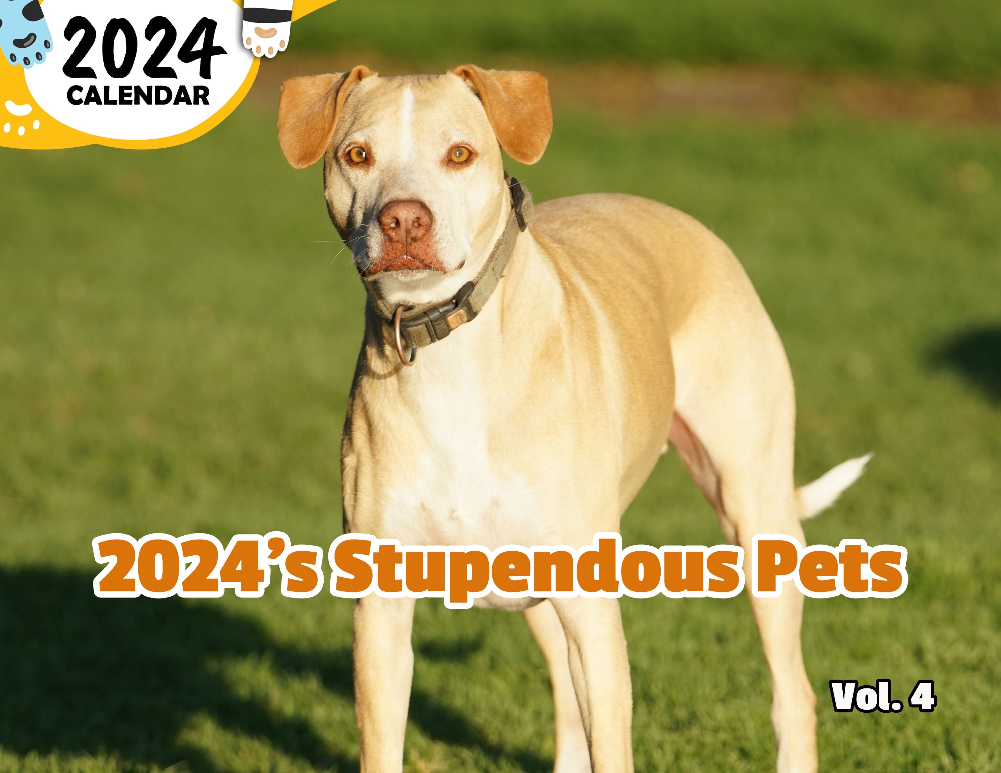 2024's Stupendous Pets Volume Four: 2024 Wall Calendar (Published)