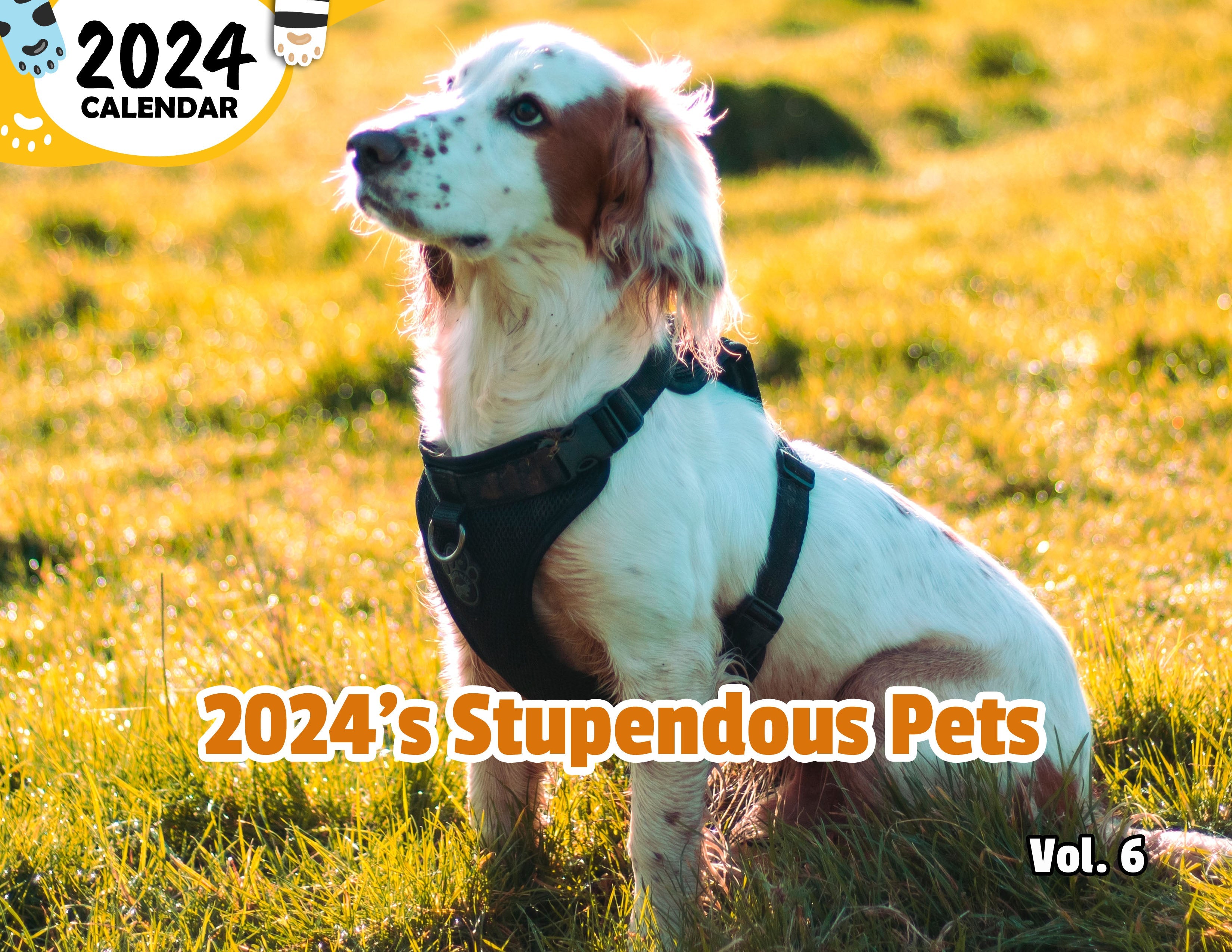2024's Stupendous Pets Volume Six: 2024 Wall Calendar (Published)