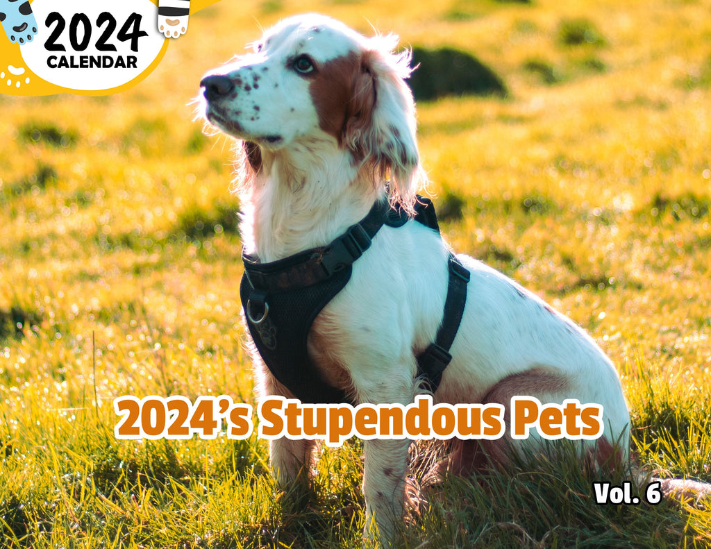2024's Stupendous Pets Volume Six: 2024 Wall Calendar (Published)