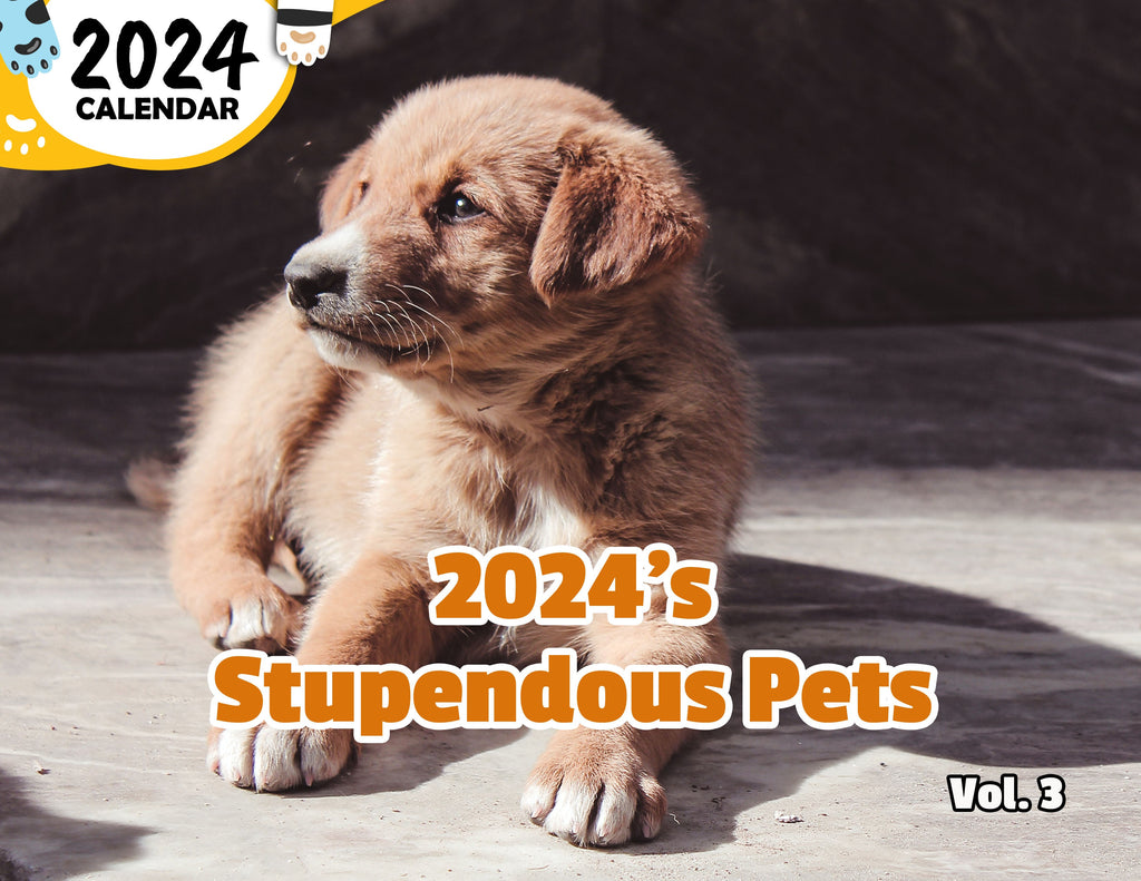 2024's Stupendous Pets Volume Three: 2024 Wall Calendar (Published)