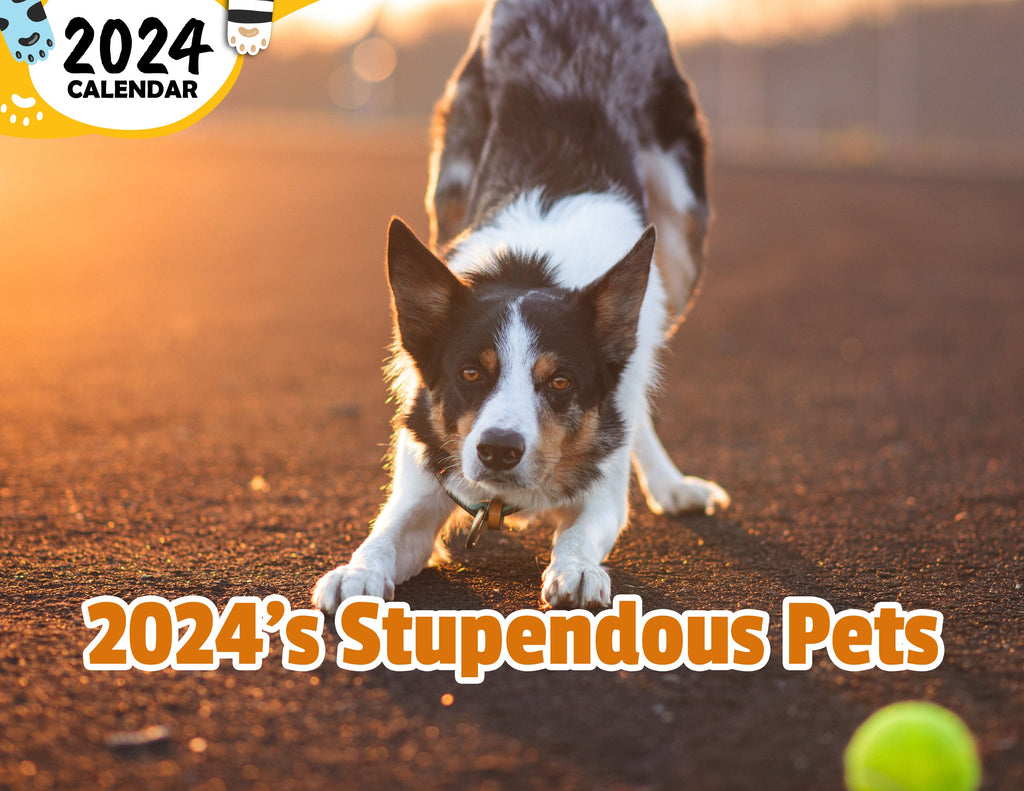 2024's Stupendous Pets: 2024 Wall Calendar (Published)