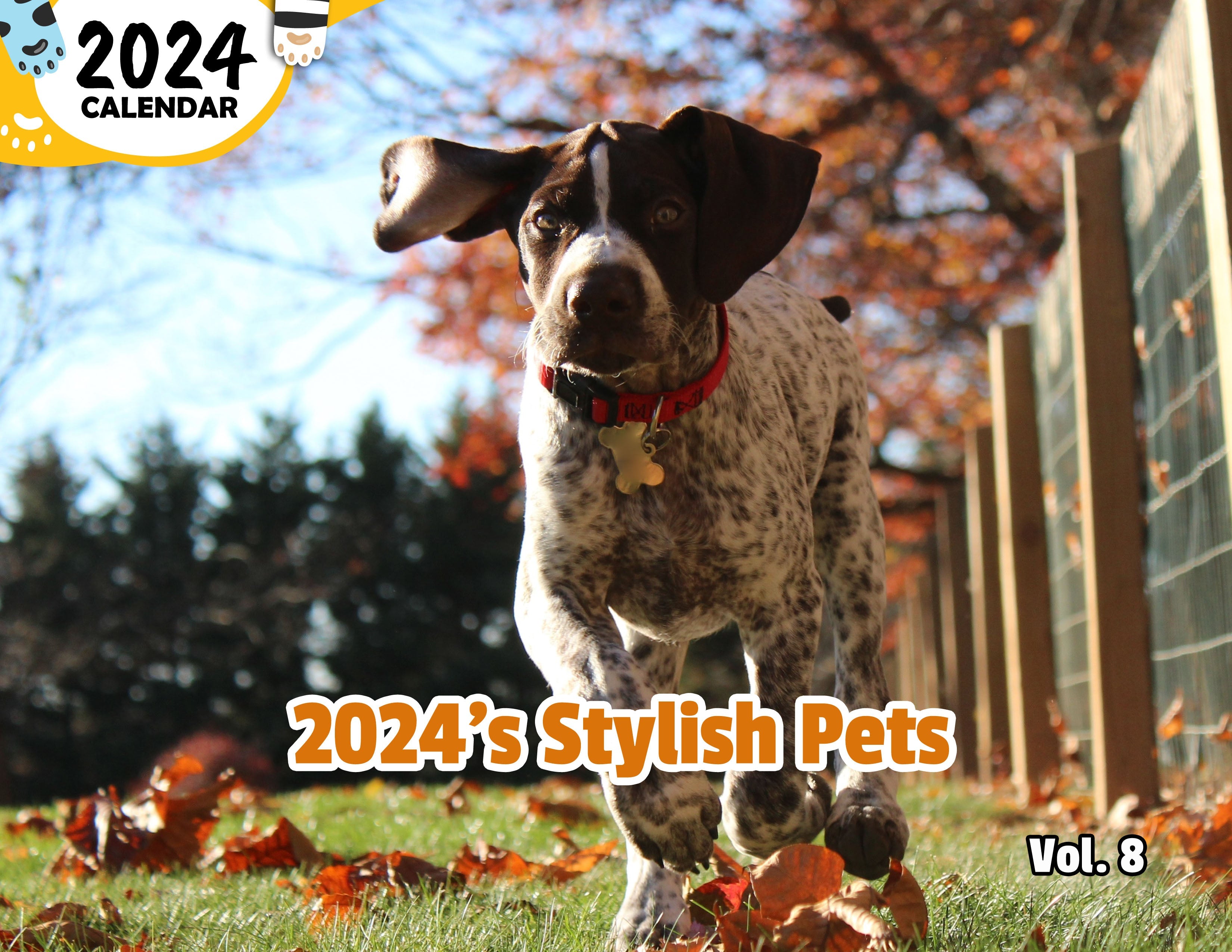 2024's Stylish Pets Volume Eight: 2024 Wall Calendar (Published)