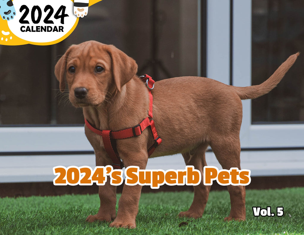 2024's Superb Pets Volume Five: 2024 Wall Calendar (Published)