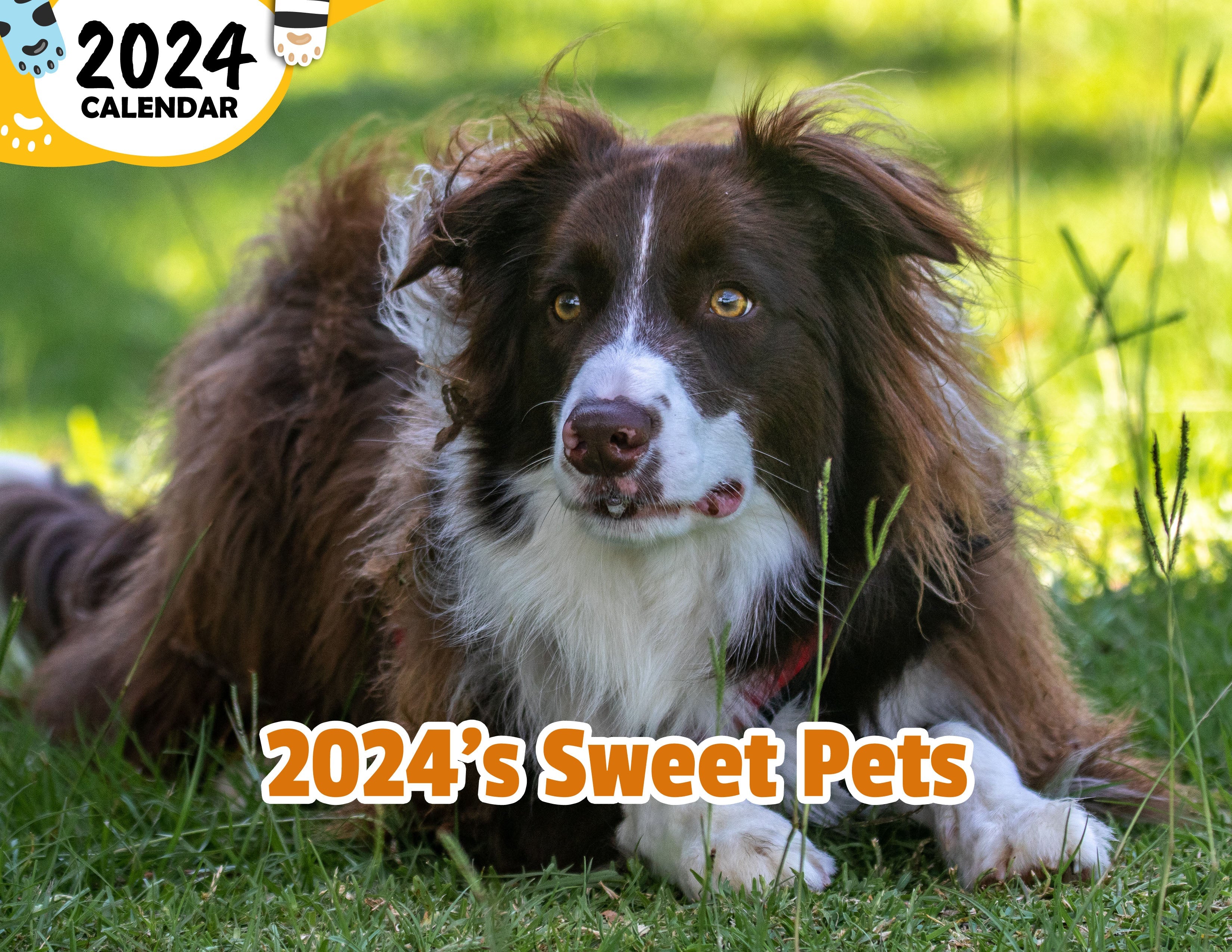 2024's Sweet Pets: 2024 Wall Calendar (Published)
