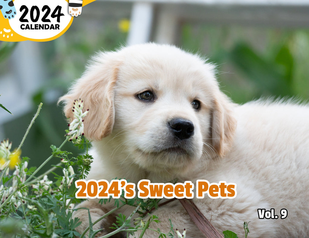 2024's Sweet Pets Volume Nine: 2024 Wall Calendar (Published)