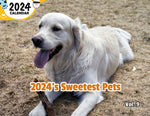 2024's Sweetest Pets Volume Nine: 2024 Wall Calendar (Published)