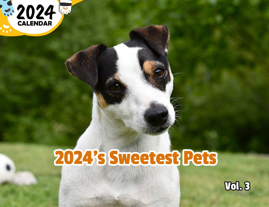 2024's Sweetest Pets Volume Three: 2024 Wall Calendar (Published)