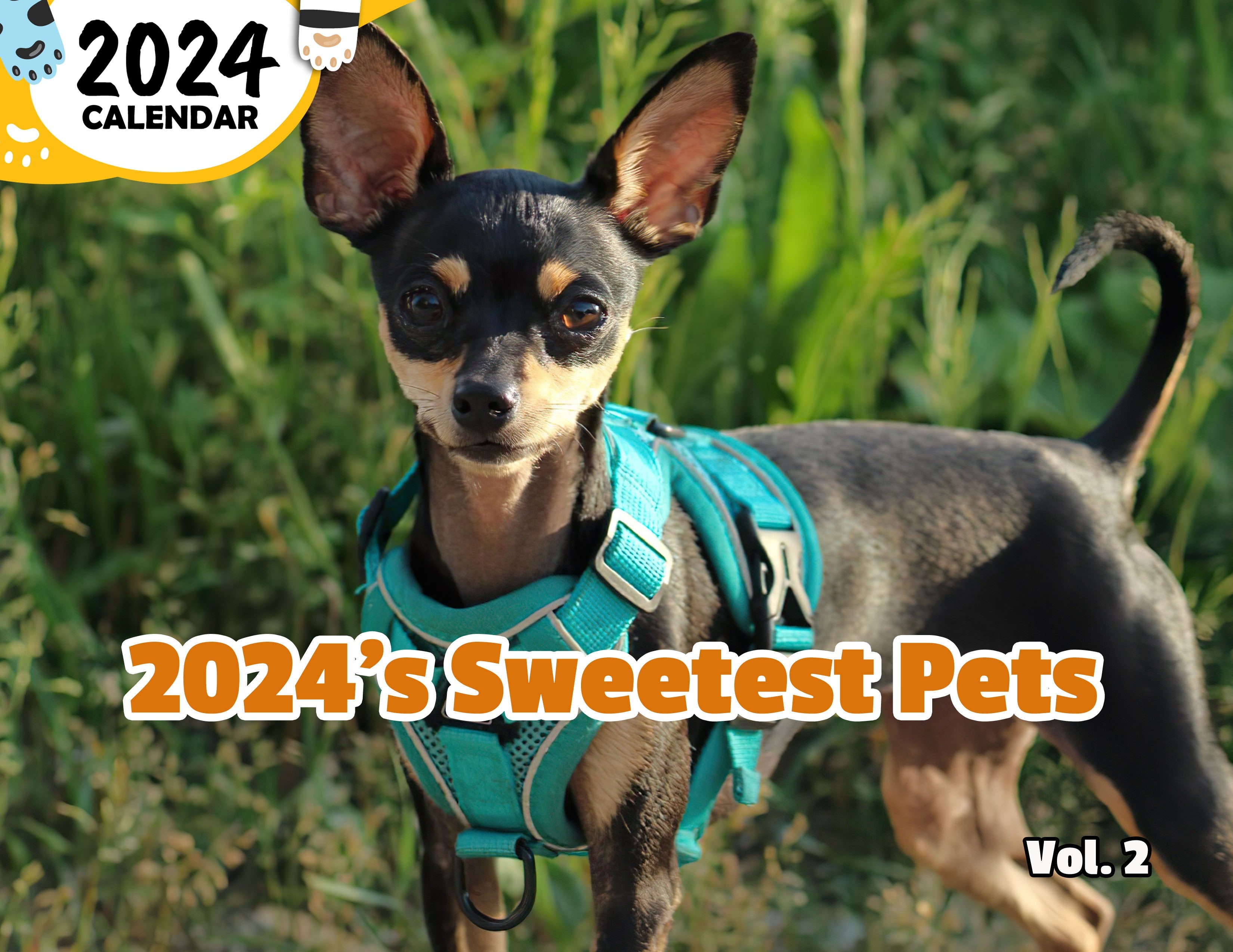 2024's Sweetest Pets Volume Two: 2024 Wall Calendar (Published)