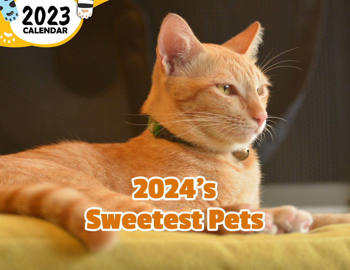 2024's Sweetest Pets 2024 Wall Calendar (Published) Praise My Pet!