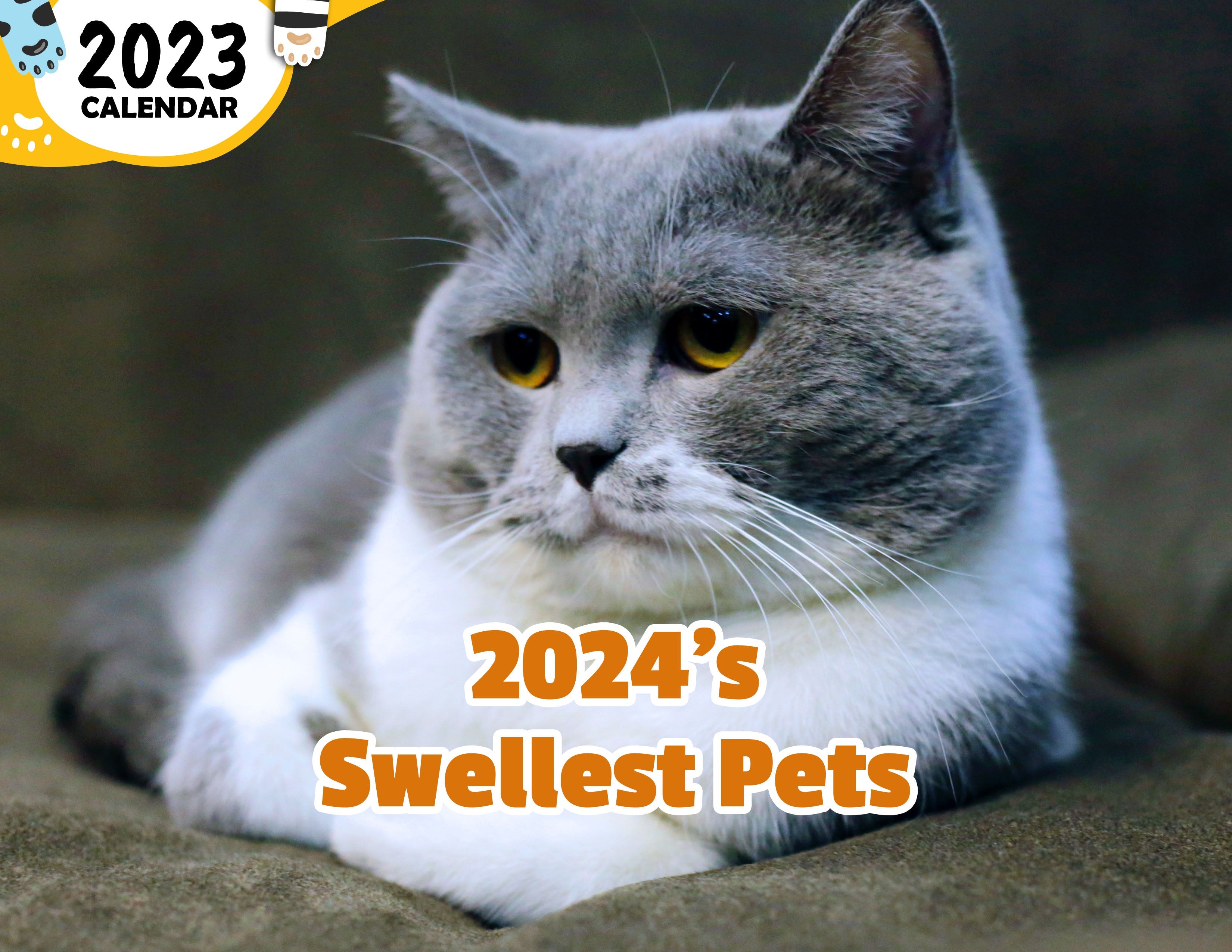 2024's Swellest Pets: 2024 Wall Calendar (Published)